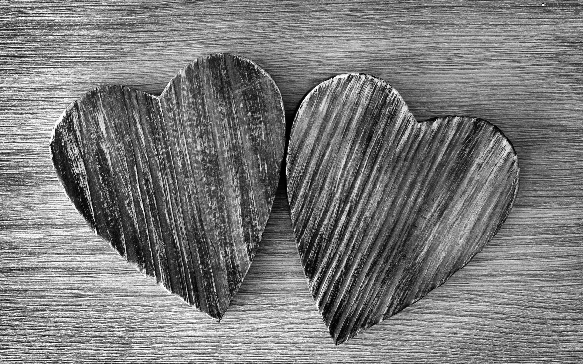 Two cars, wood, background, heart