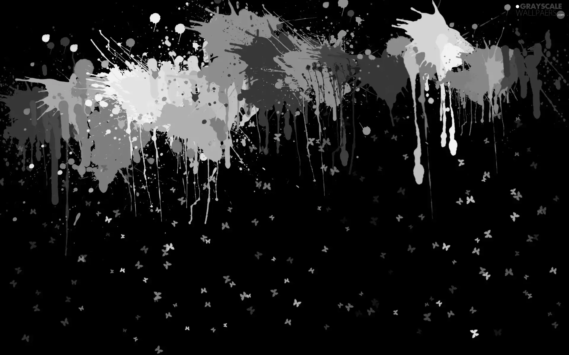 Colored, Black, background, blots