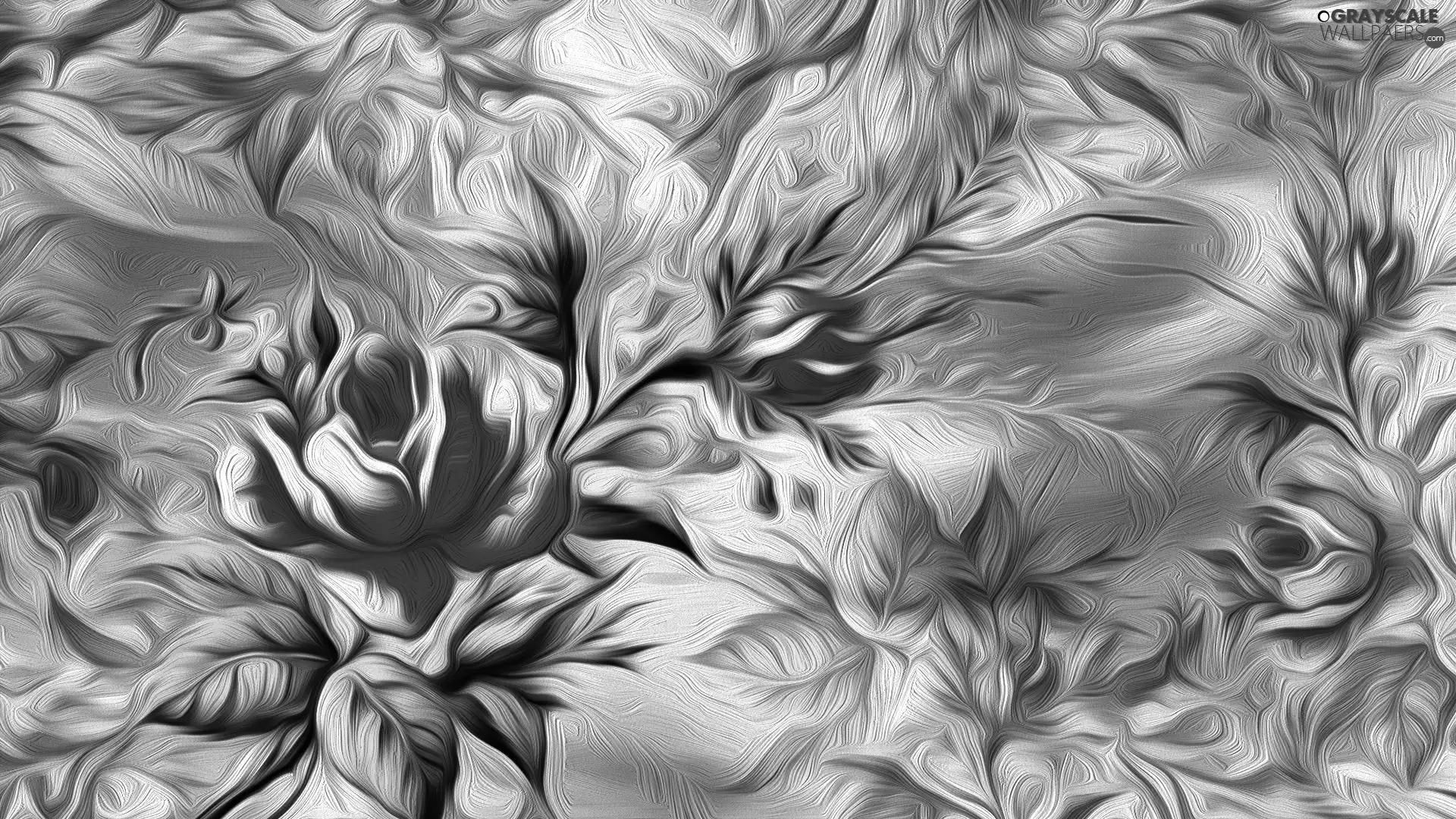 color, background, Flowers, roses, graphics