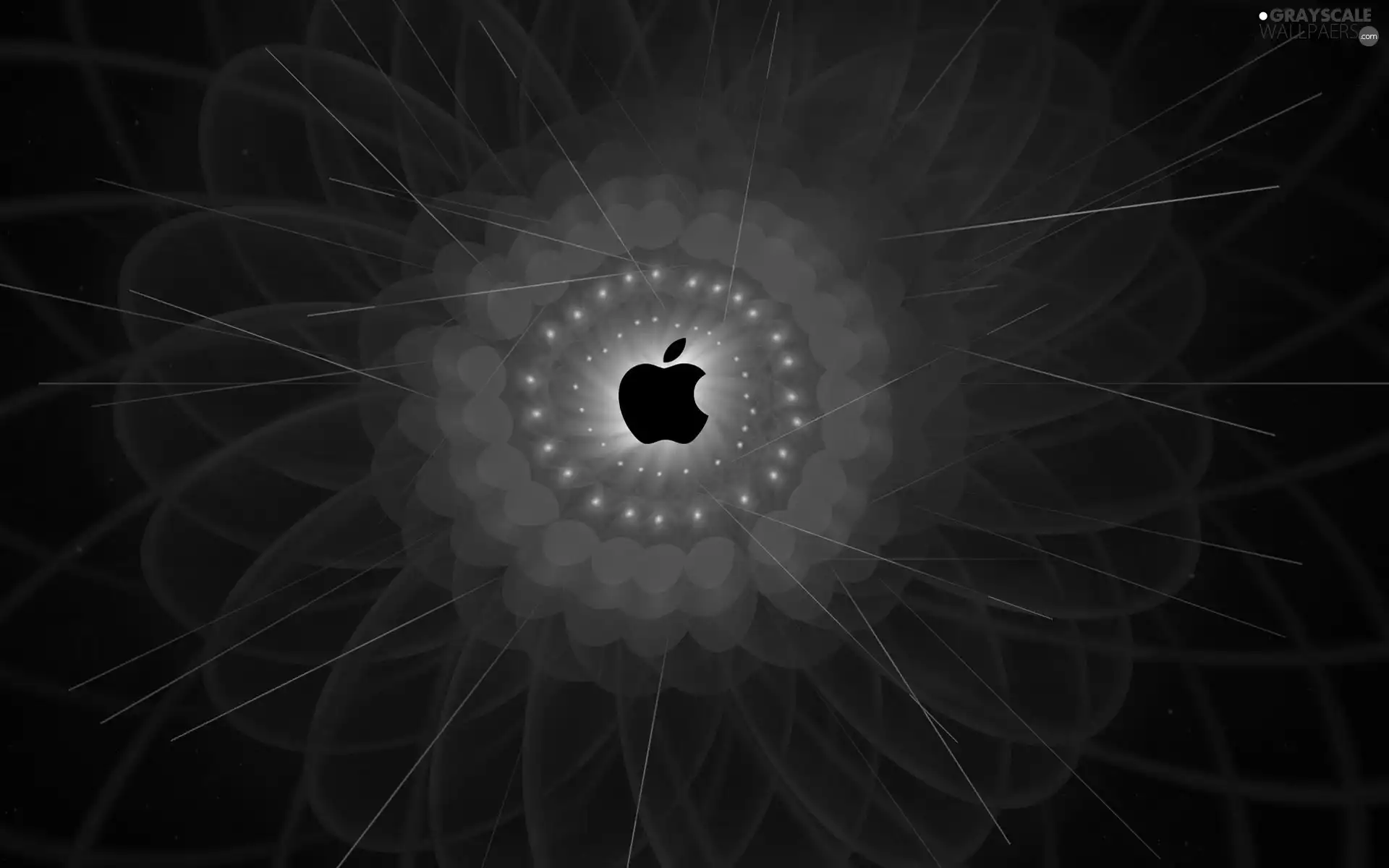background, Fraktal, logo, purple, Apple