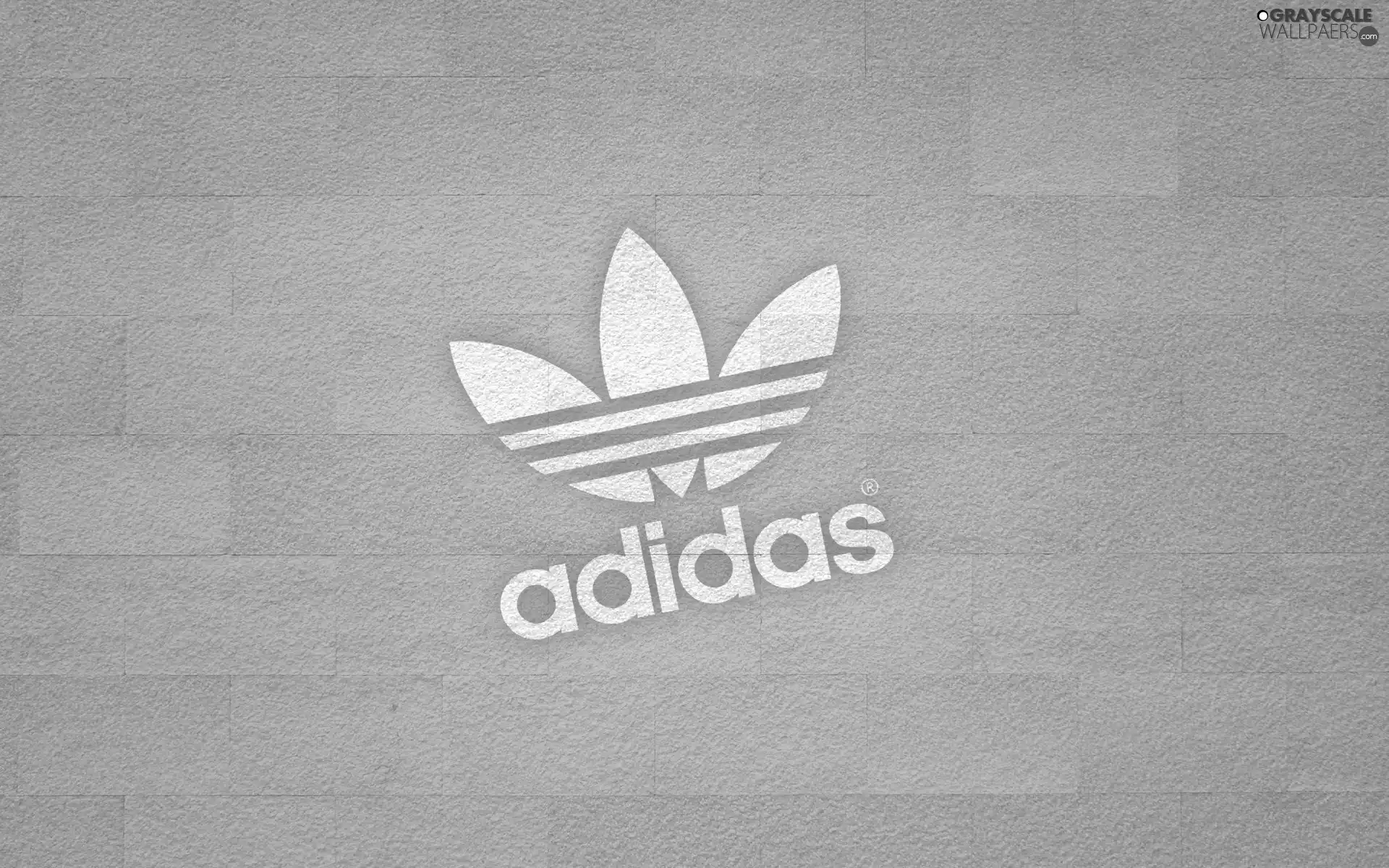 adidas, Light blue, background