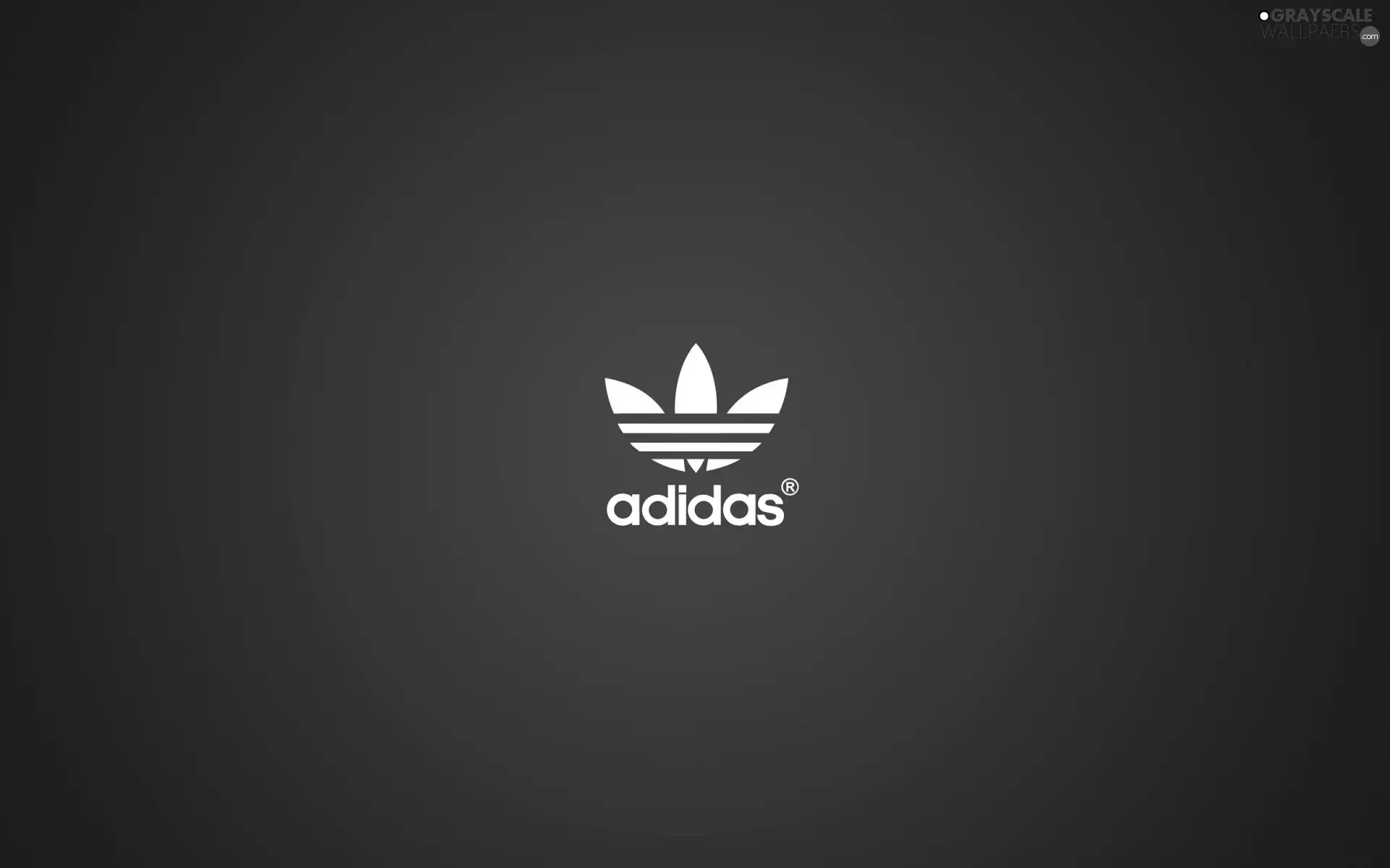 logo, Blue, background, adidas