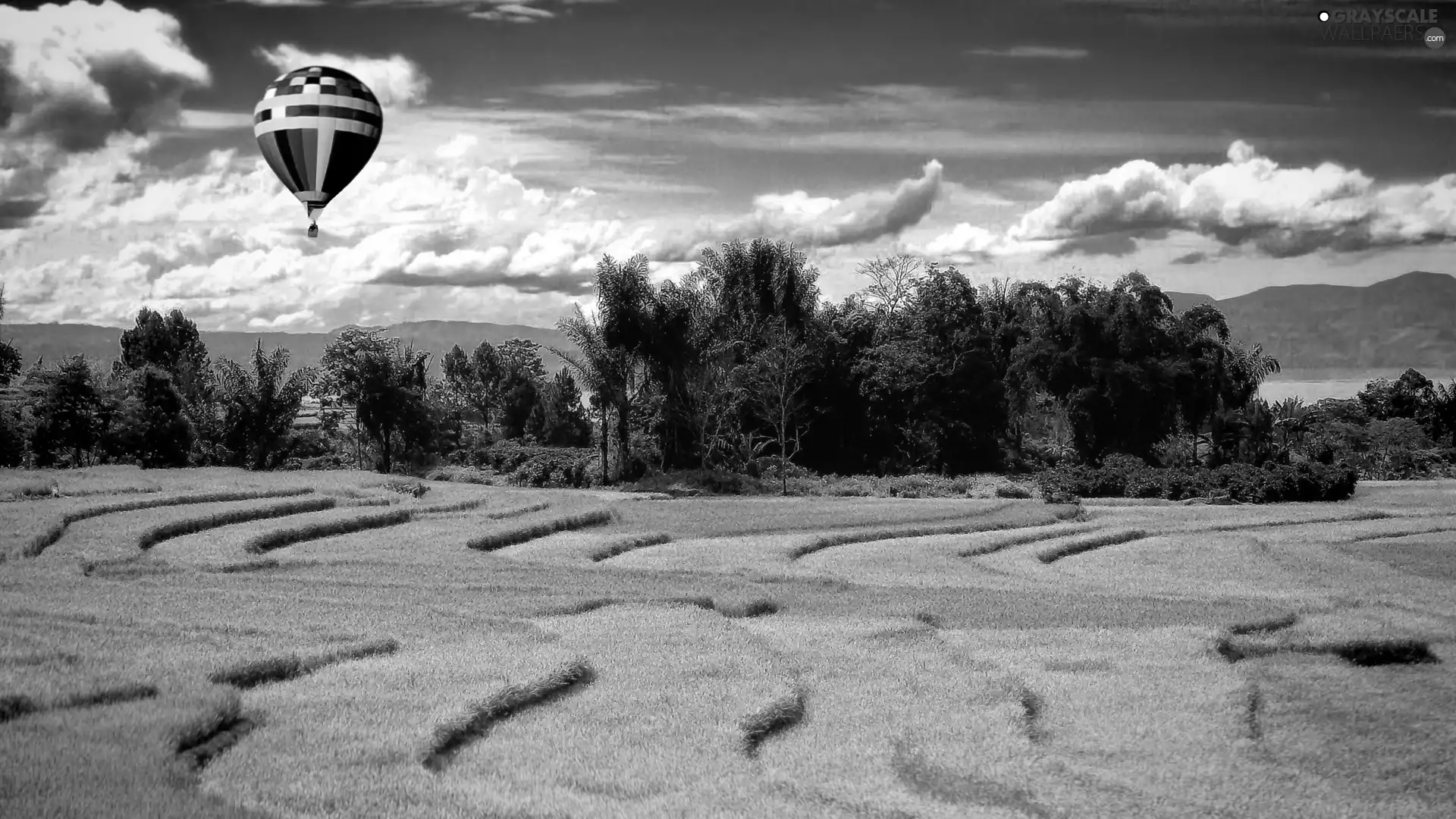 grass, viewes, Balloon, trees