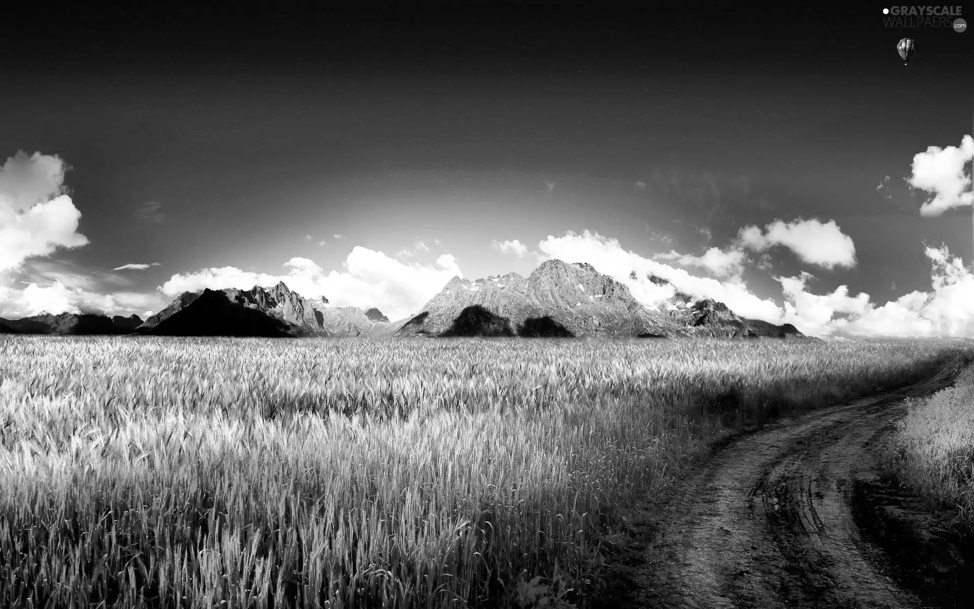 Balloon, Way, Meadow