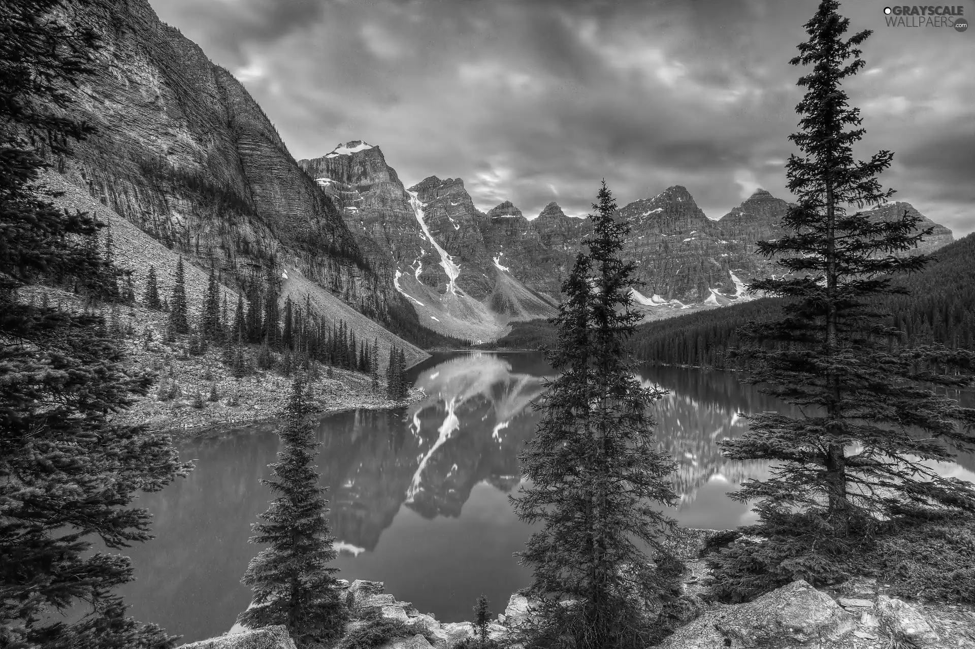 Banff National Park, Lake Moraine, Spruces, Mountains, viewes, Province of Alberta, Canada, trees
