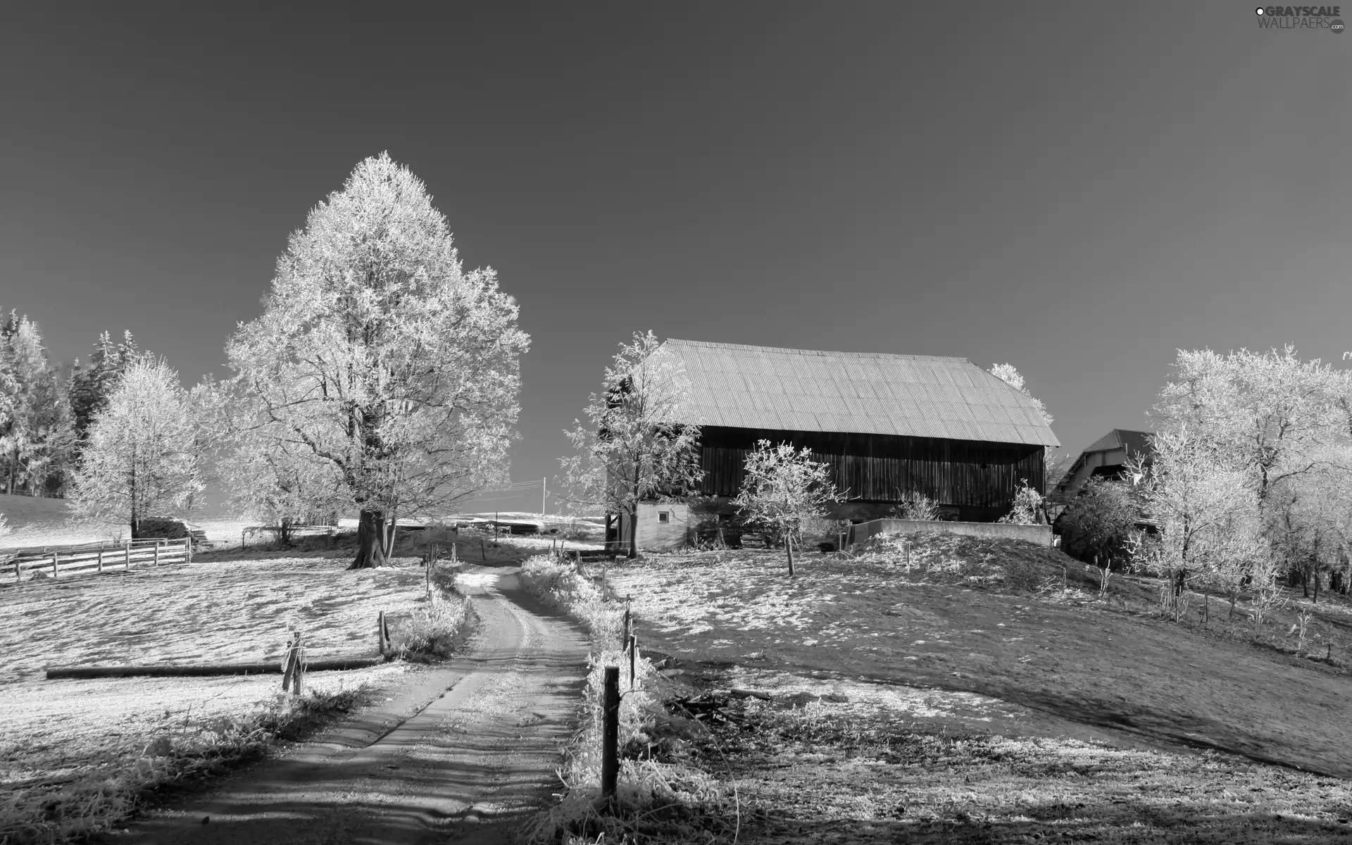 Field, pens, Barn, Way