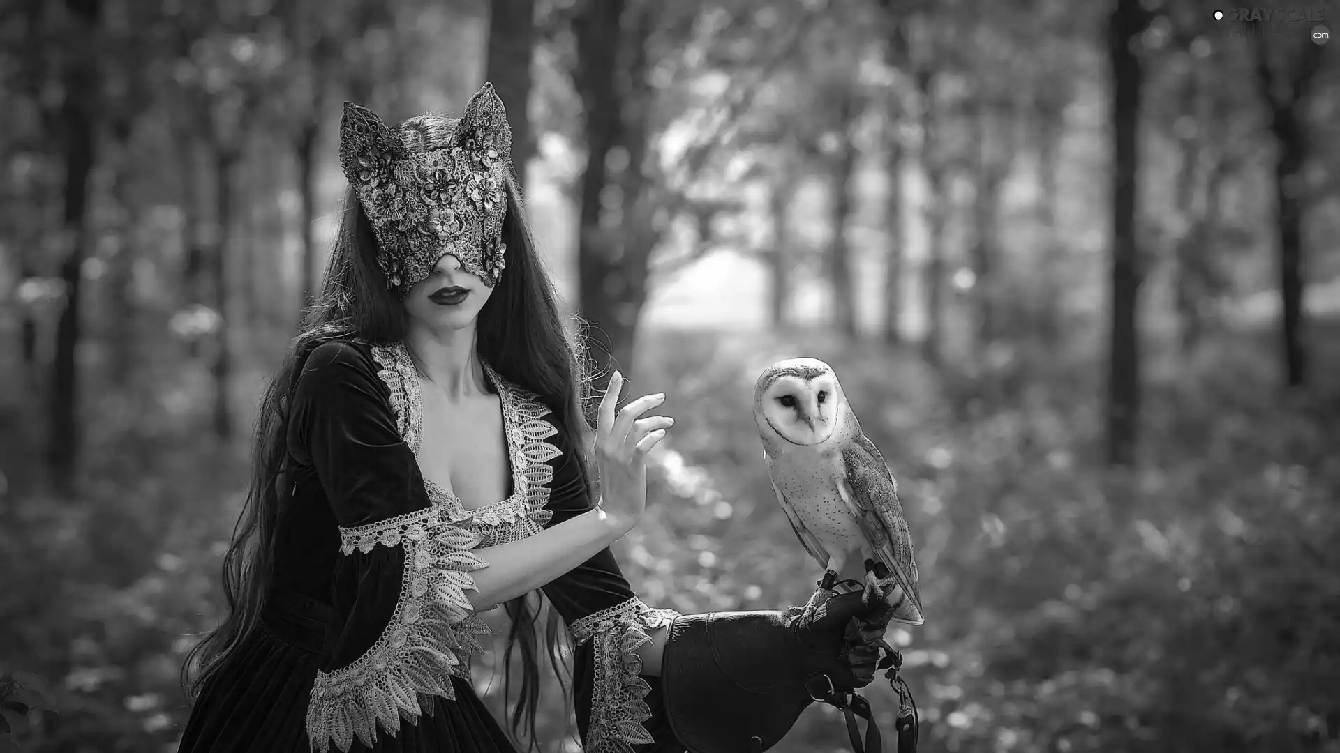 owl, Barn, Mask, glove, girl