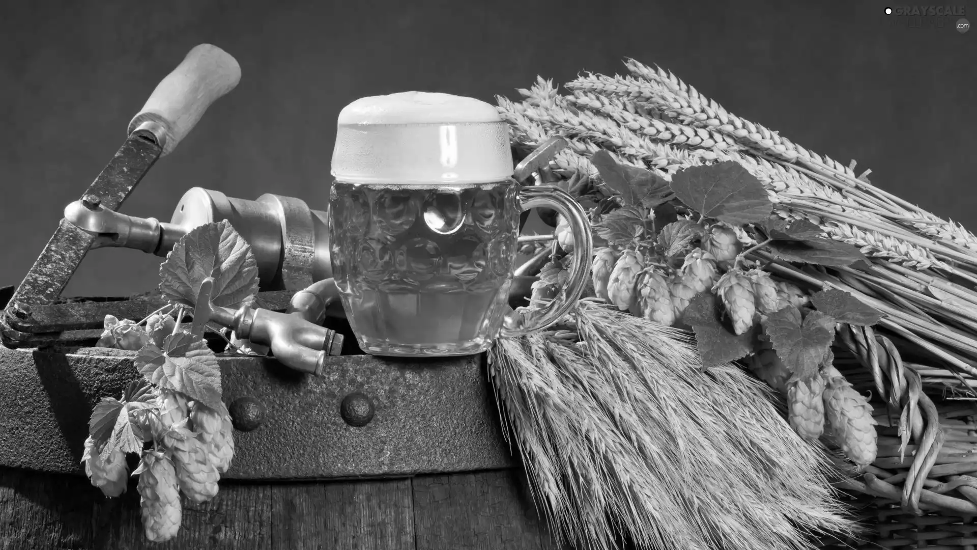 Ears, barrel, hop, corn, Beer