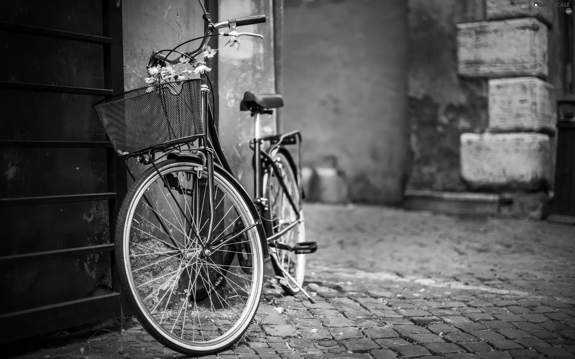 Bike, basket