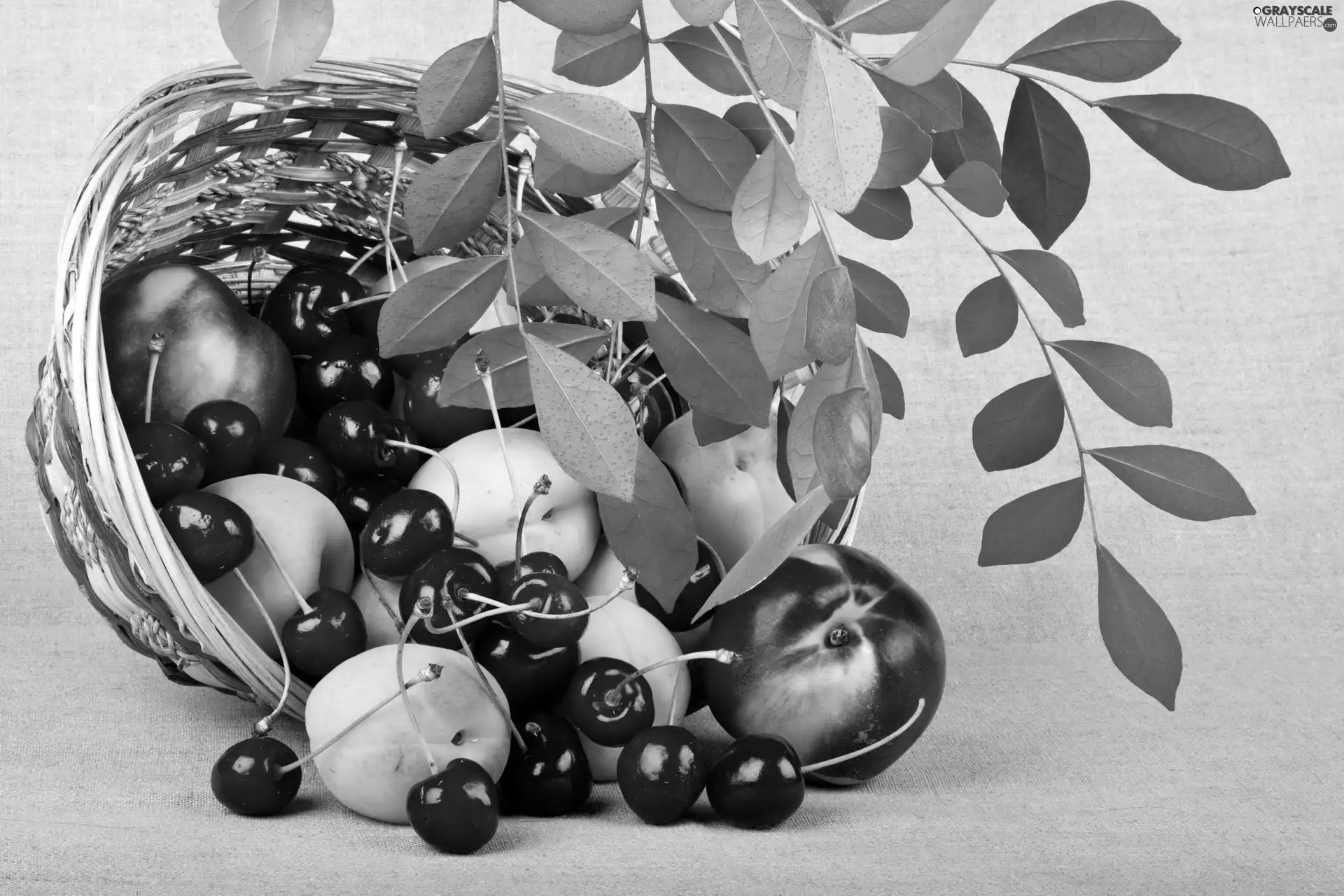 basket, composition, peaches, nectarines, cherries