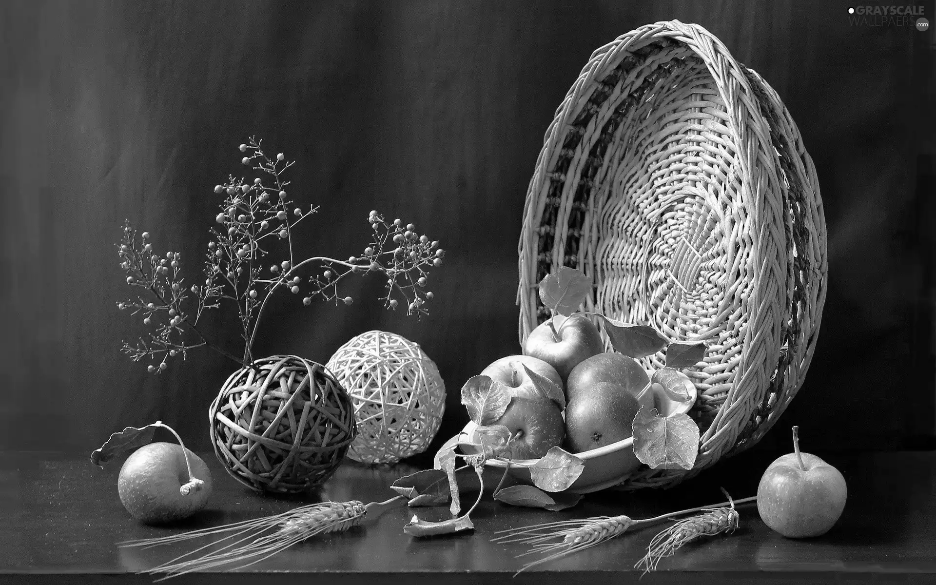 composition, Ears, basket, apples