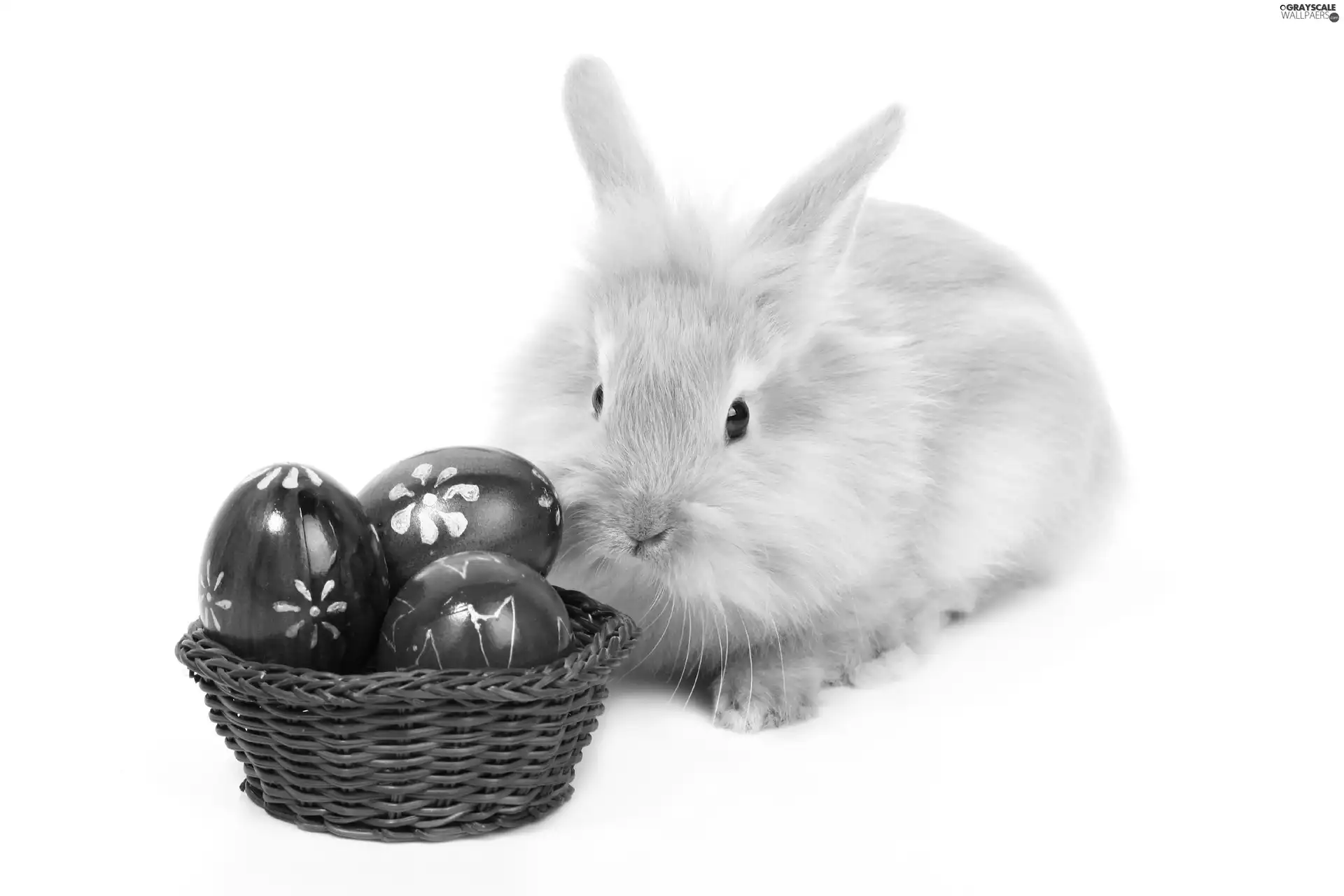 basket, eggs, Easter, eggs, Rabbit