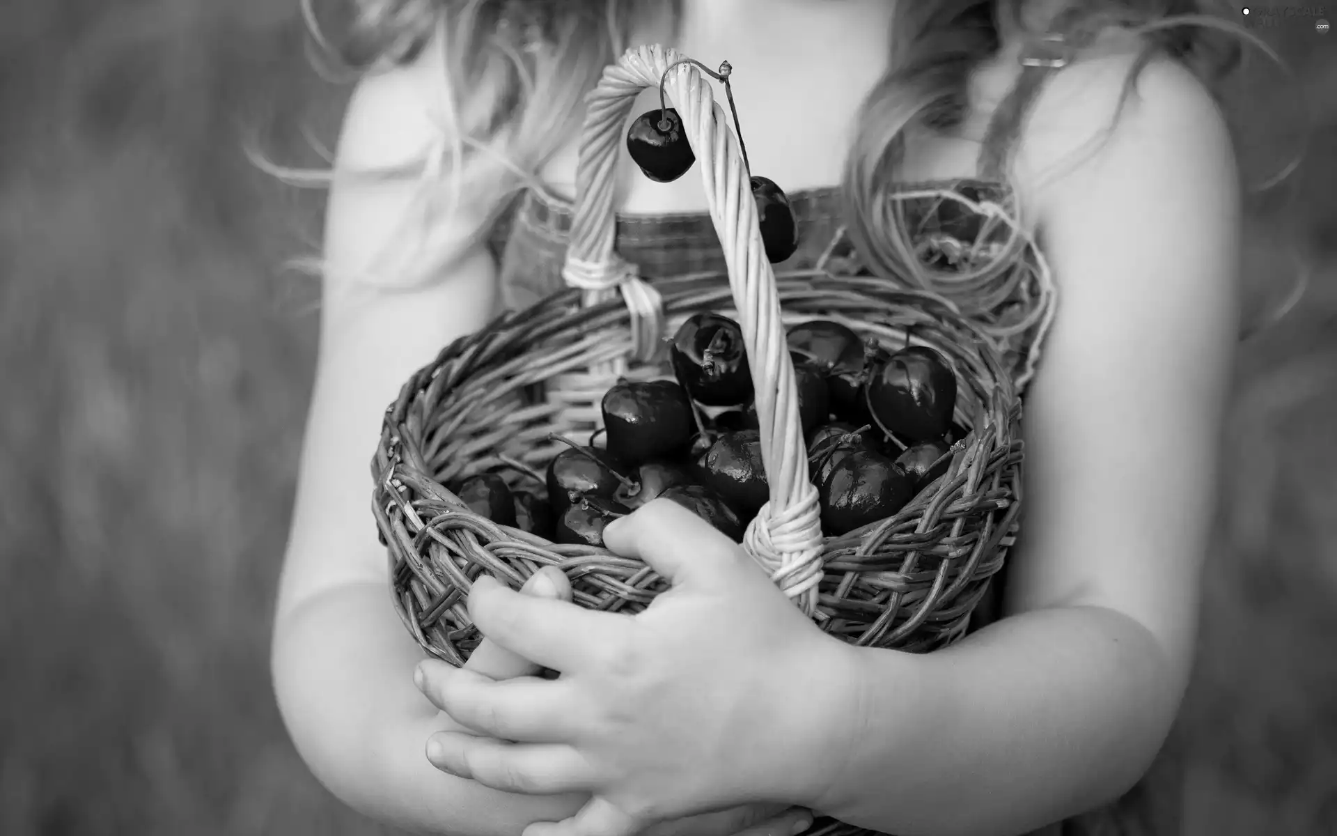 girl, cherries, basket, hands