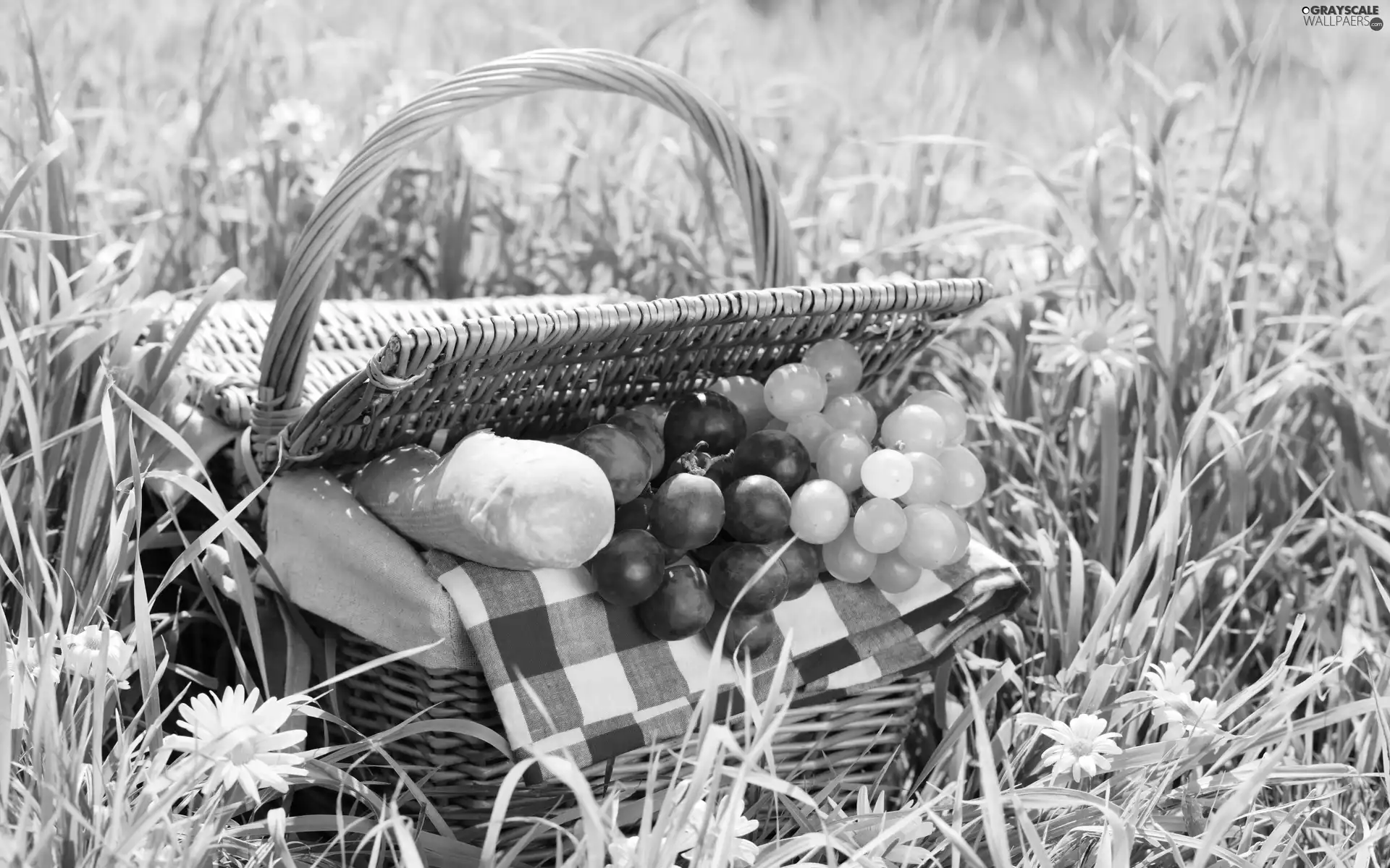 basket, grass, grapes