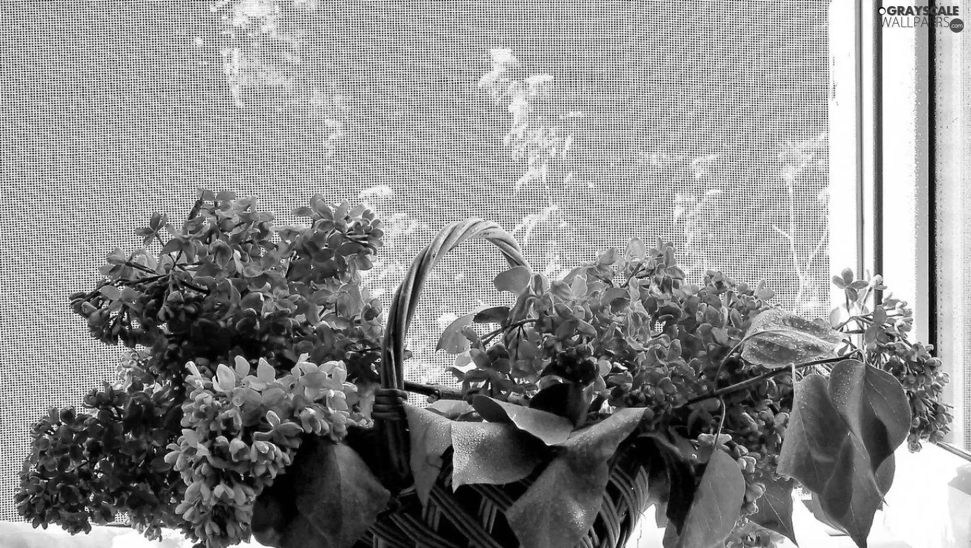 basket, Flowers, lilac