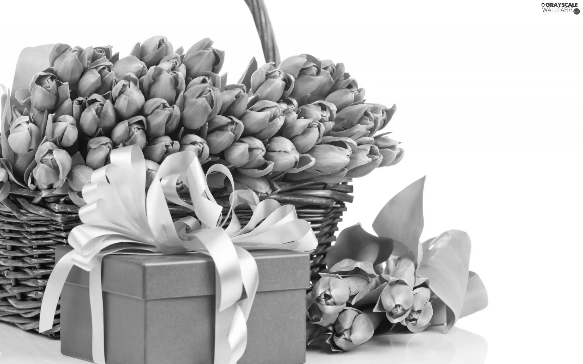 Present, wicker, basket, Tulips