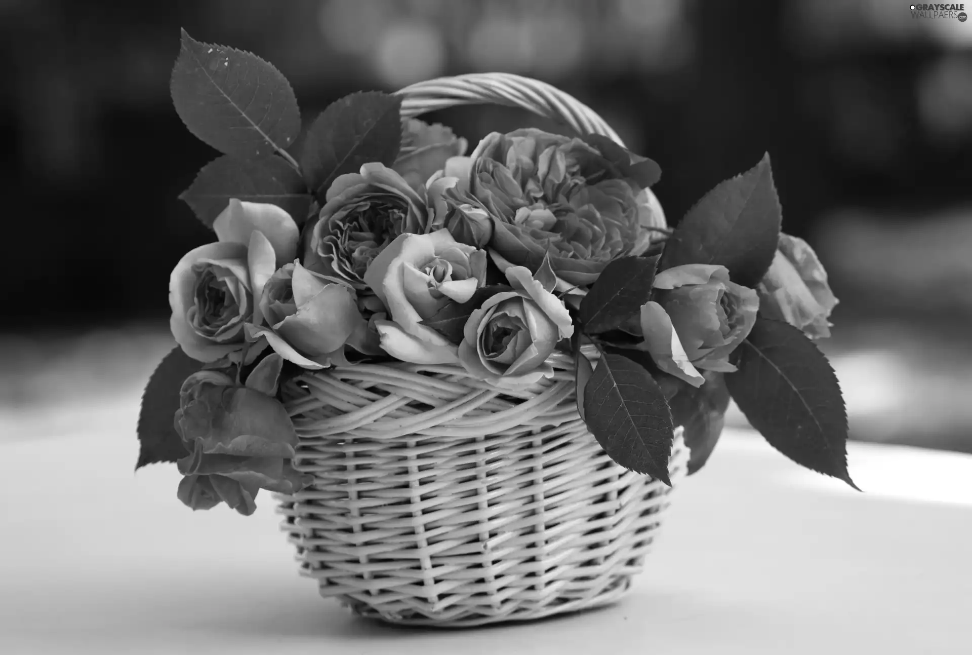 roses, basket