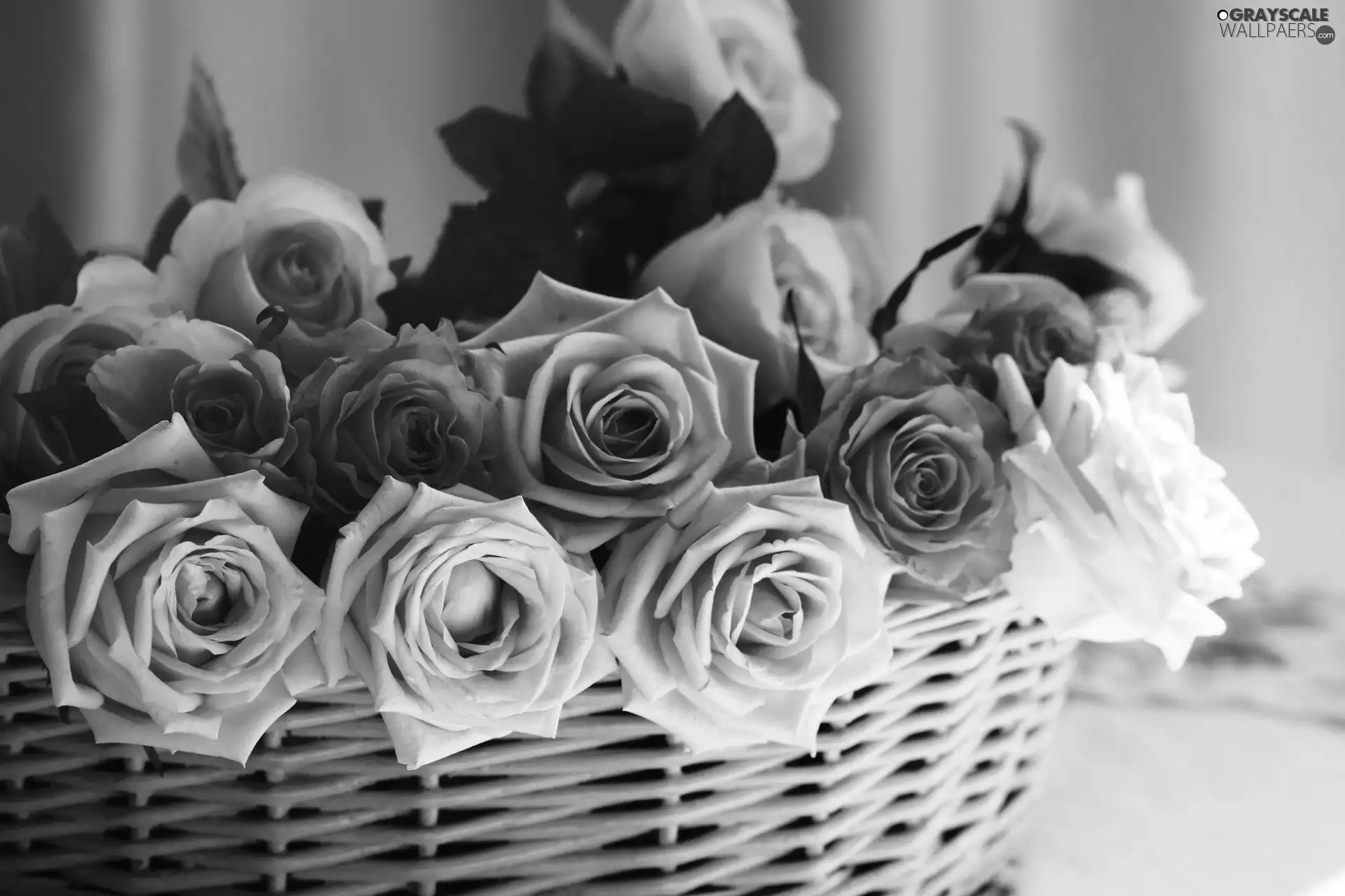 basket, bouquet, rouge