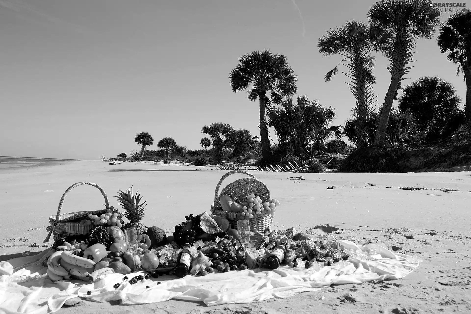 Baskets, Fruits, Palms, Picnic, Beaches