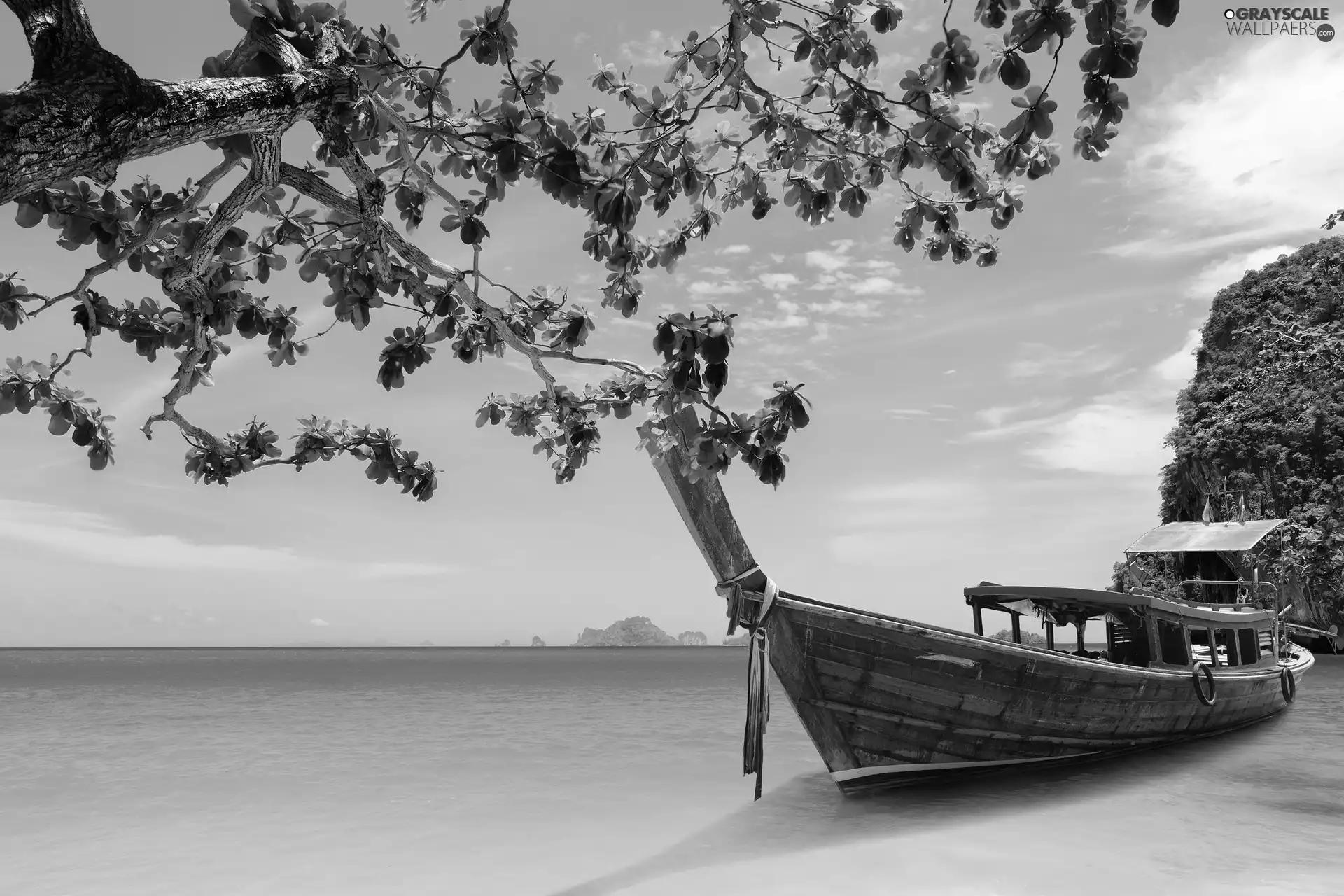 bath-tub, Caribbean, trees, viewes, sea