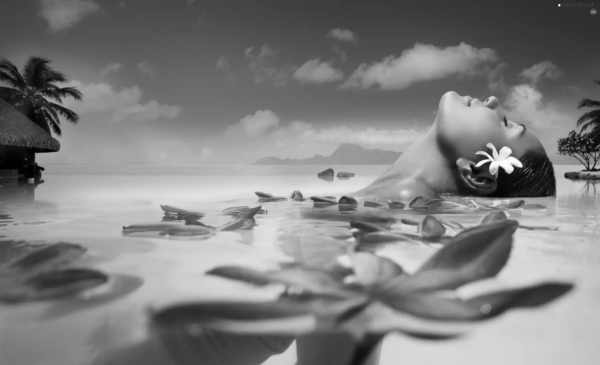 bath, Tahiti, Flowers, sea, Women