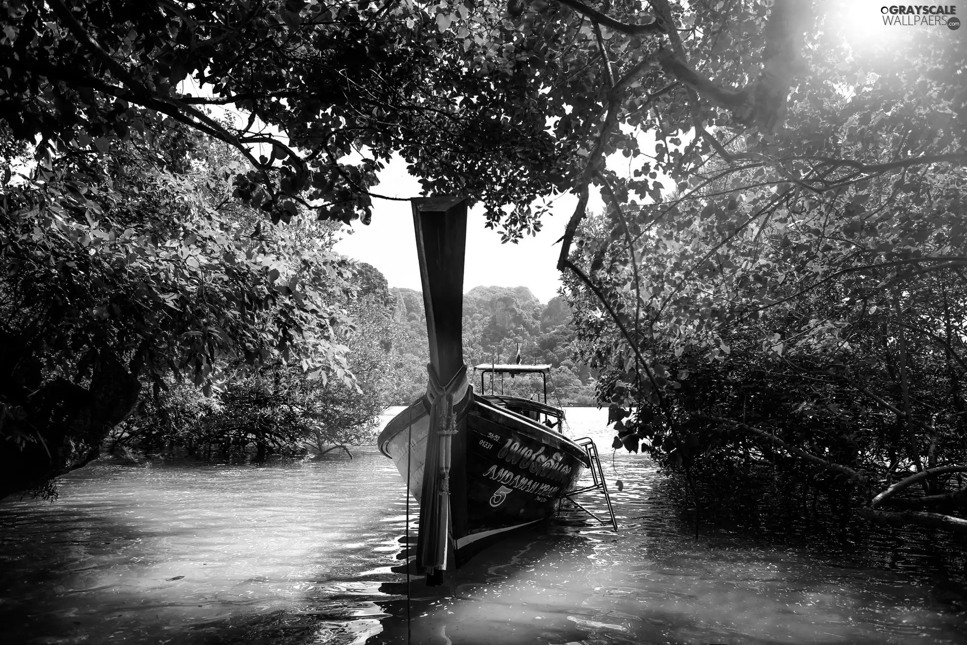 Thailand, water, bath-tub, jungle