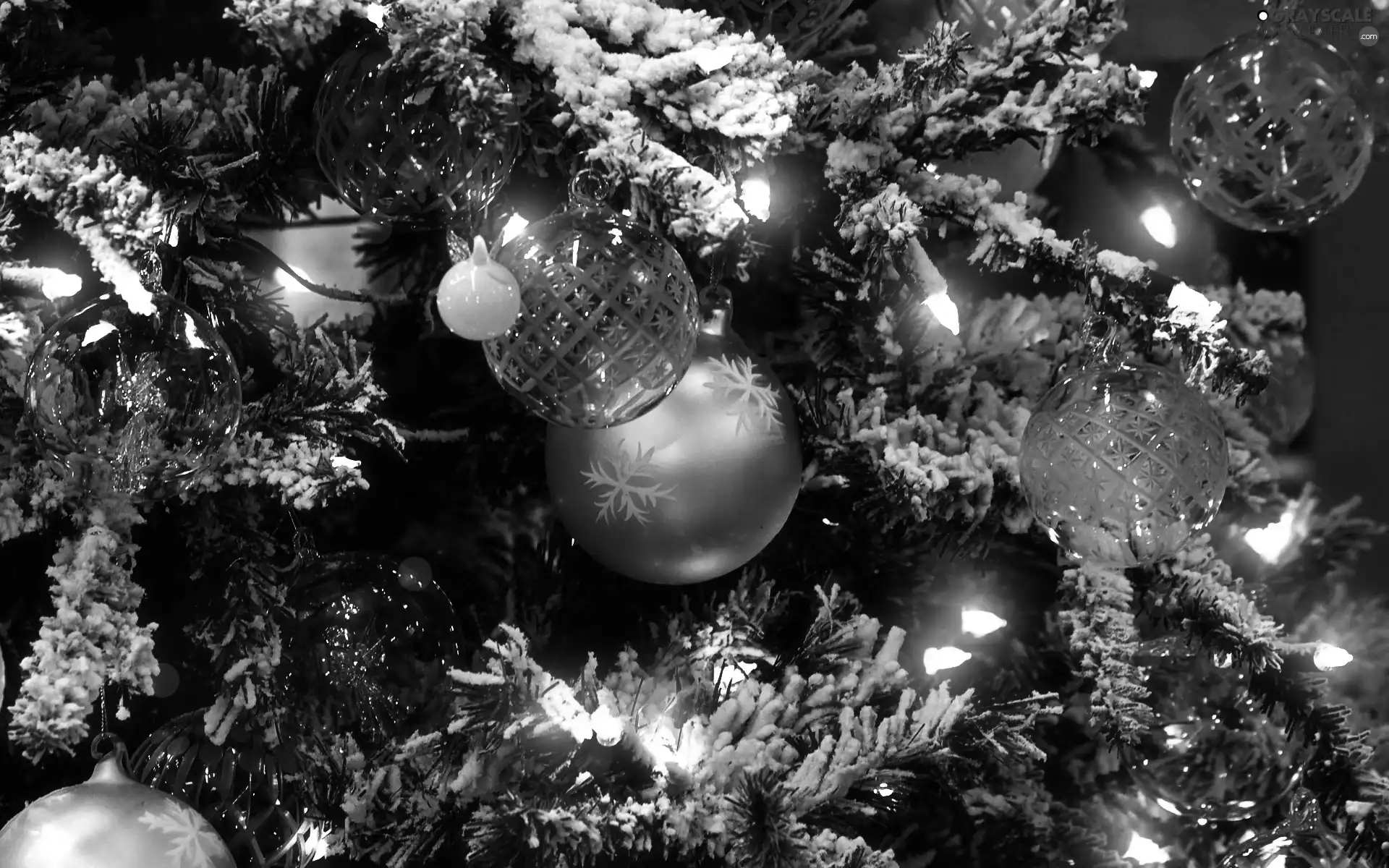 lights, christmas tree, baubles