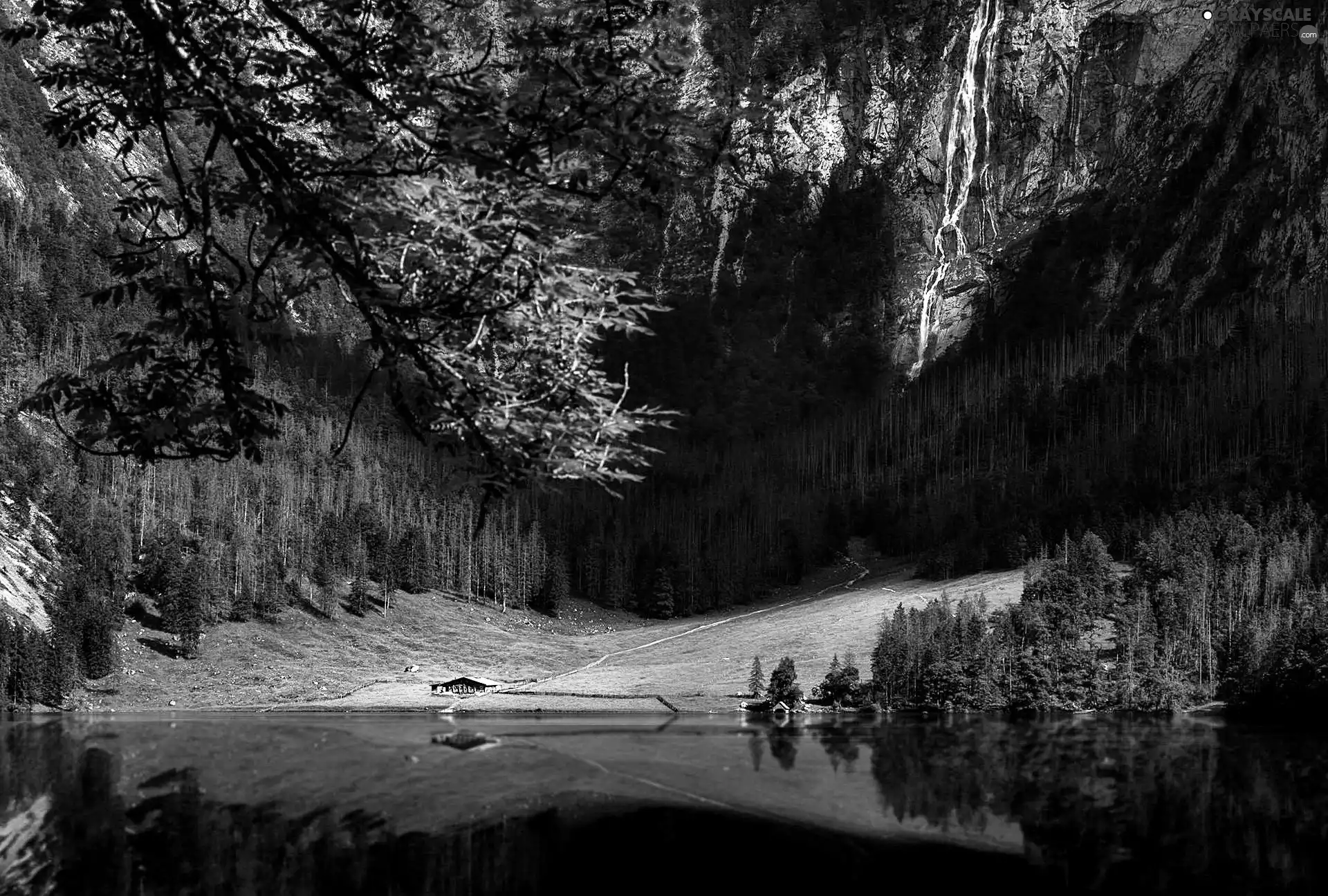 forest, Mountains, Bavaria, Germany, lake, waterfall