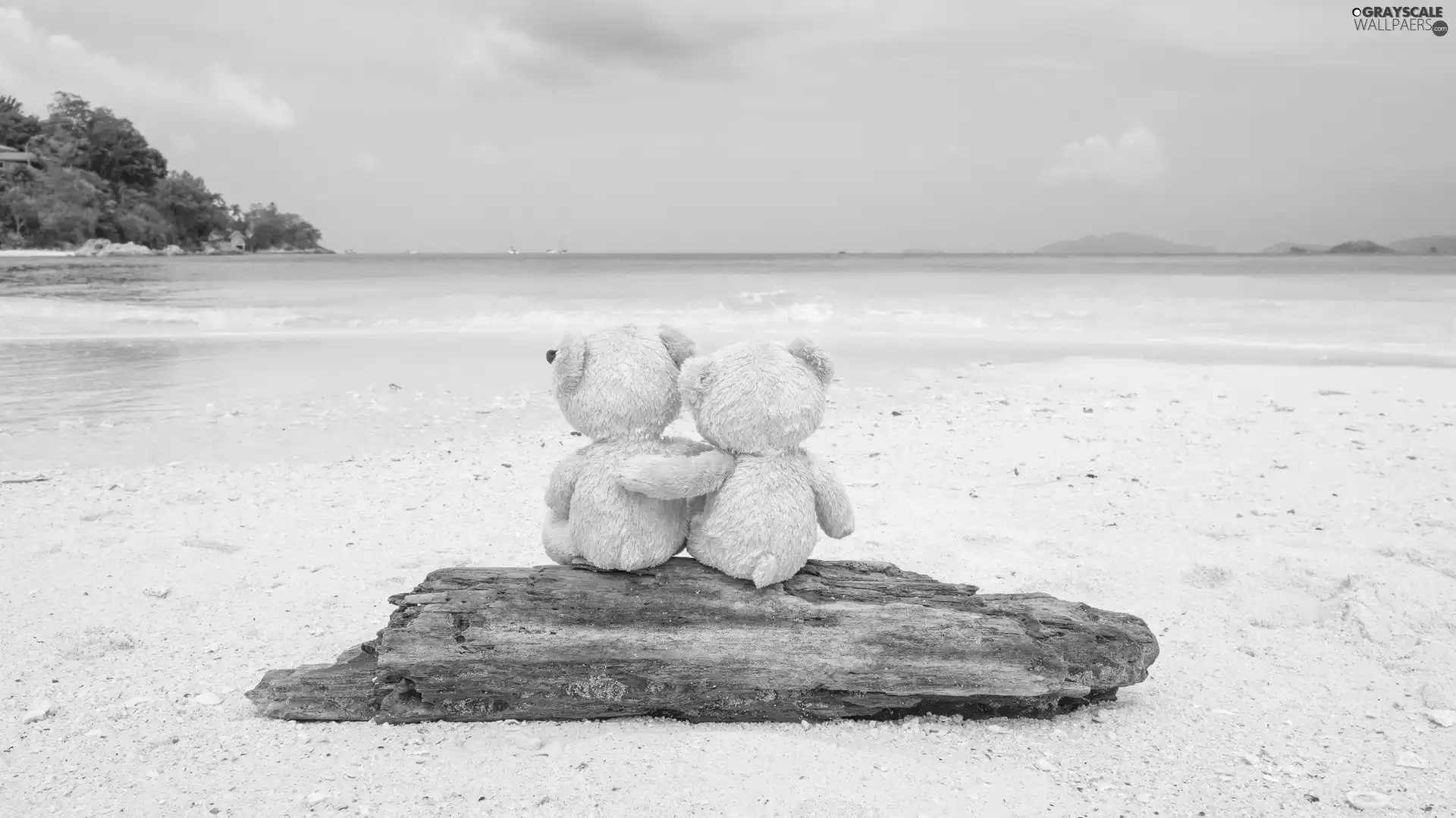 Sand, Beaches, bear, log, plush