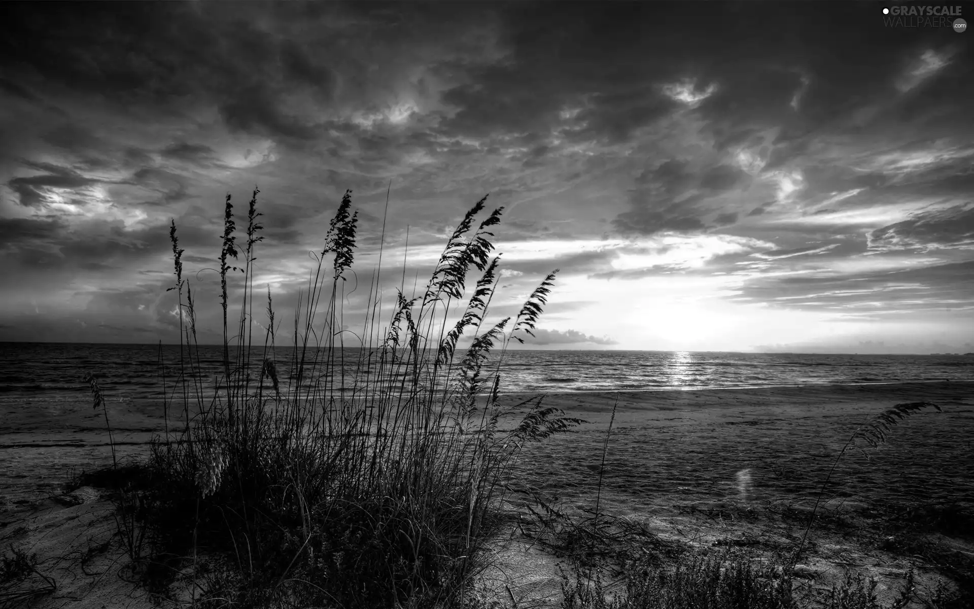 Beaches, grass, sun, sea, west