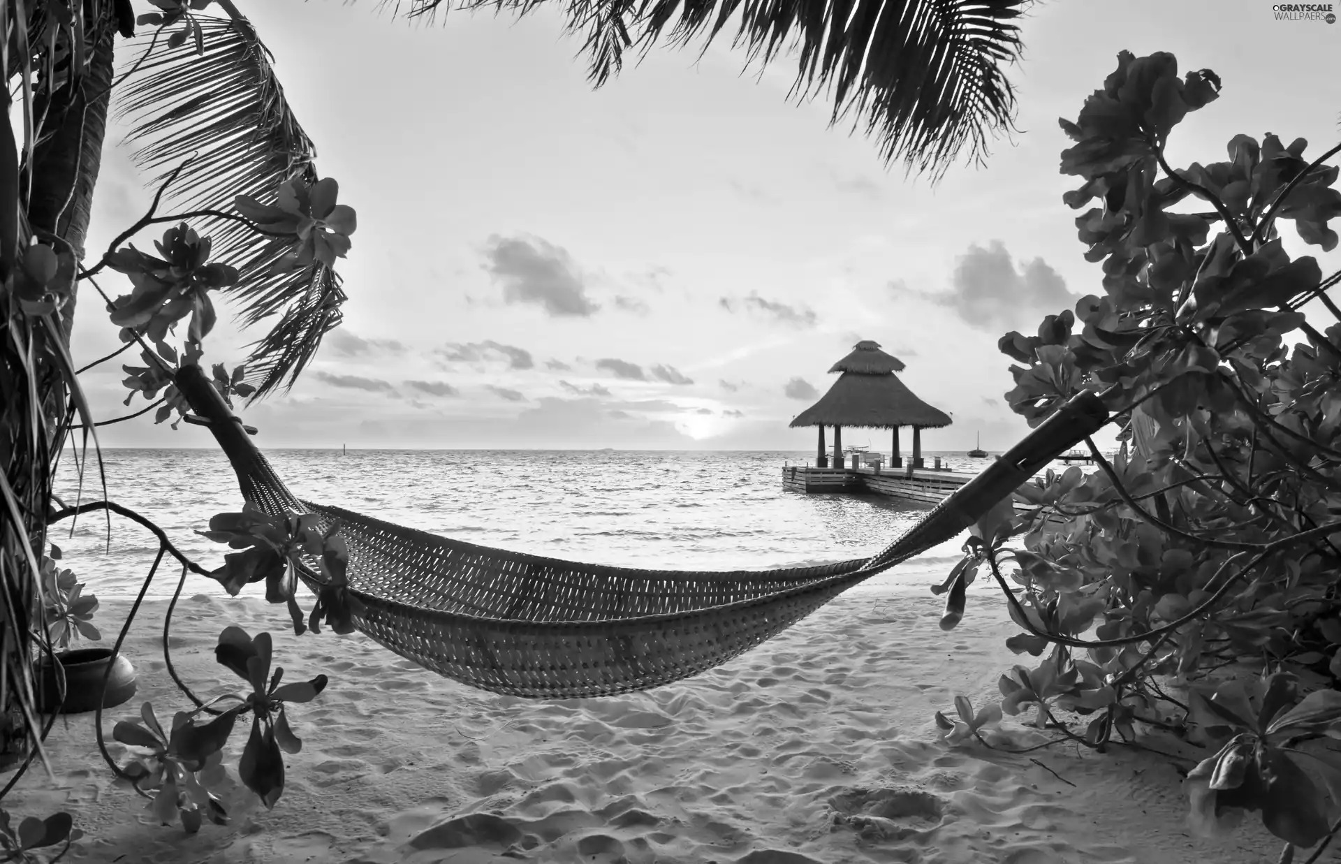 Beaches, Hammock, sun, sea, west