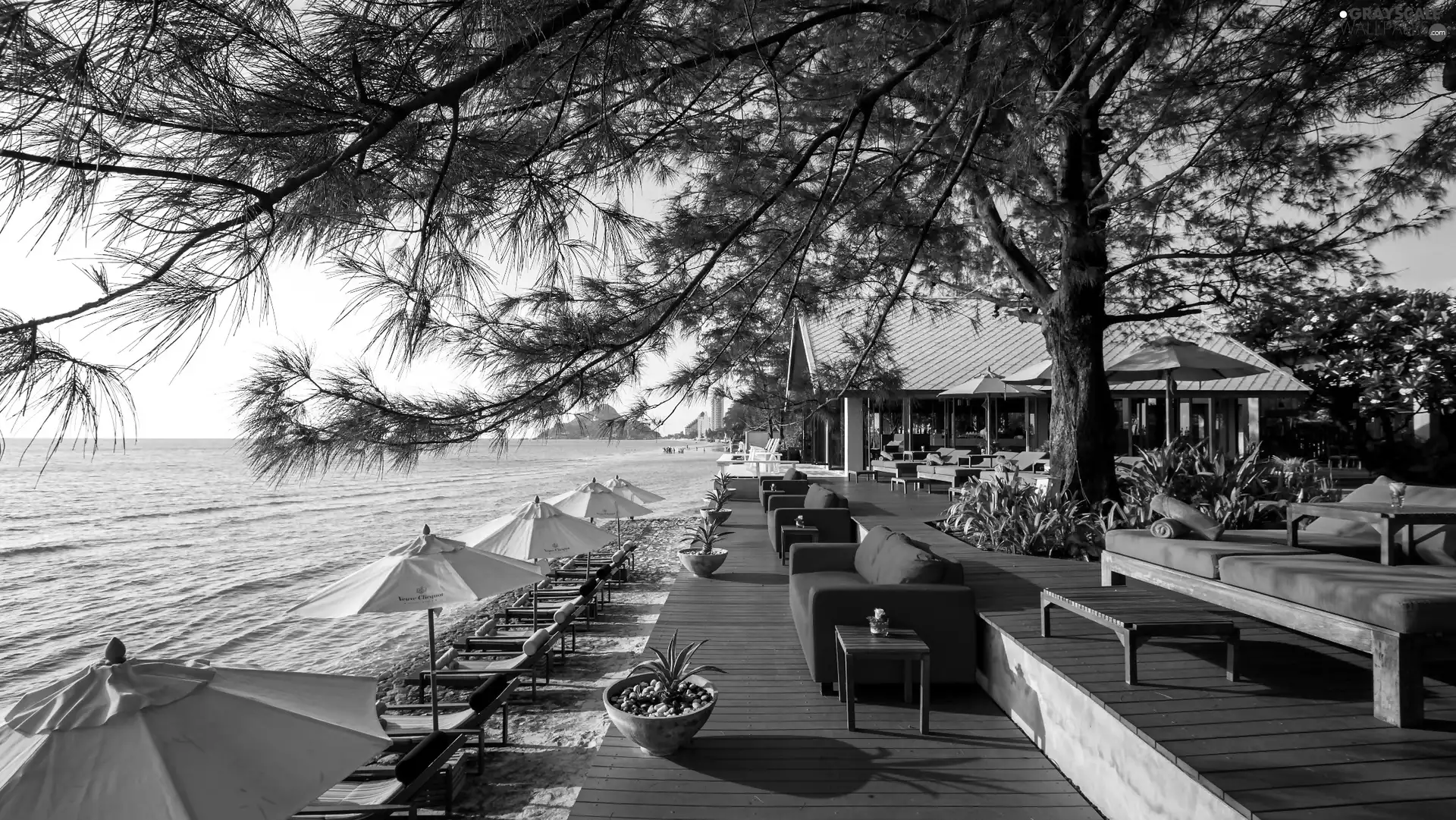 Beaches, holiday, terrace, sea, The hotel