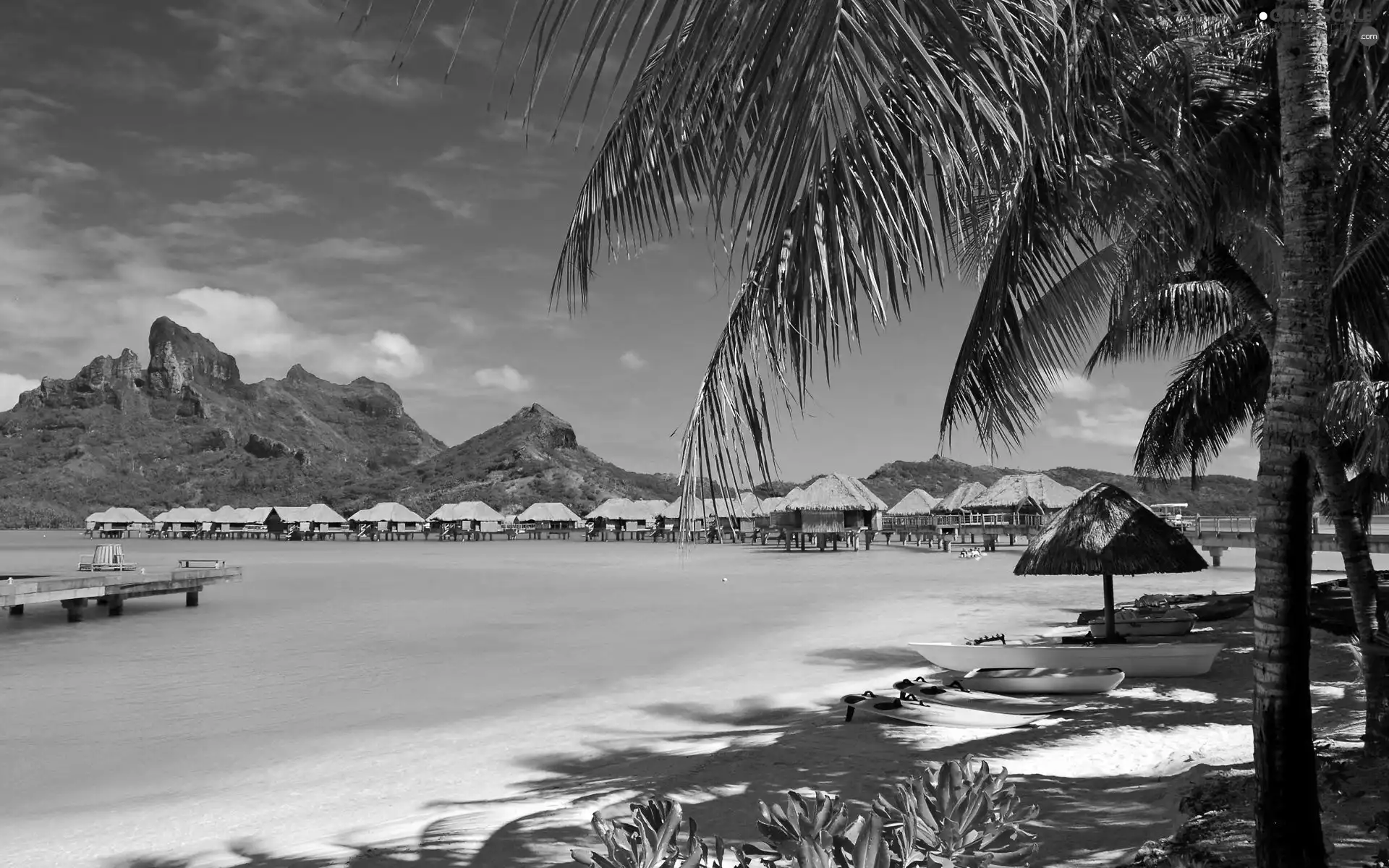 Beaches, Houses, Mountains, Palms, sea