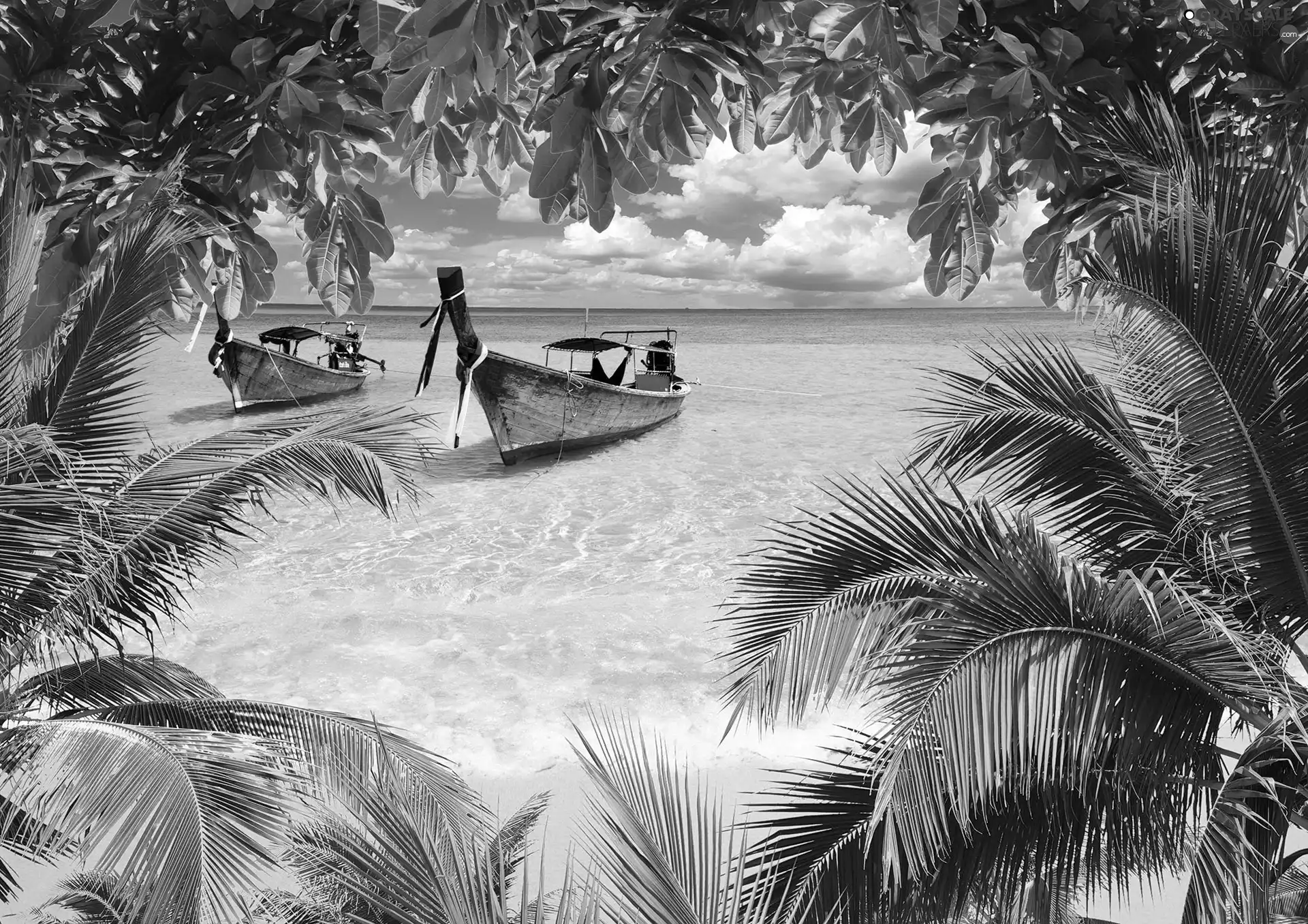 Ocean, tropical, Beaches, Boats