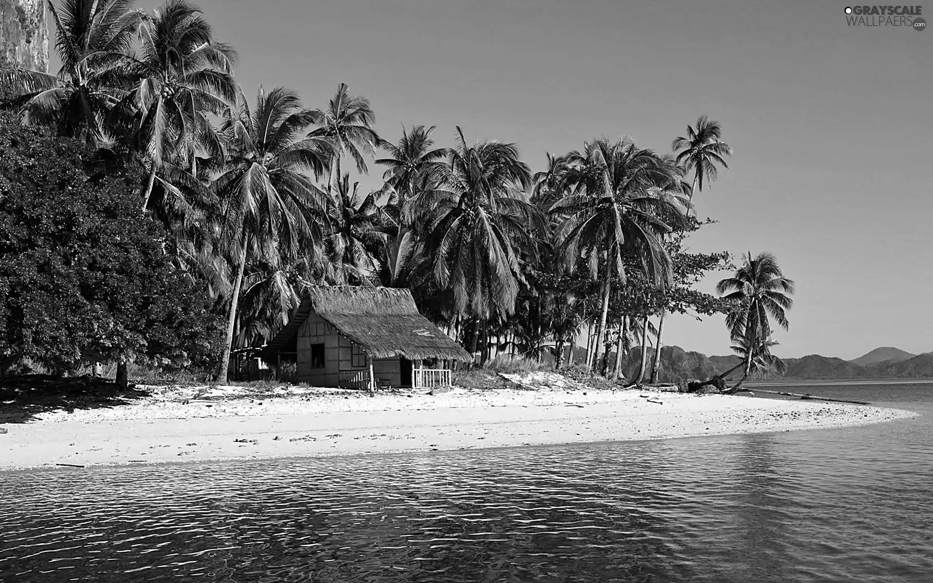 sea, mountainous, Home, Islands, Tropical, Beaches, Palms