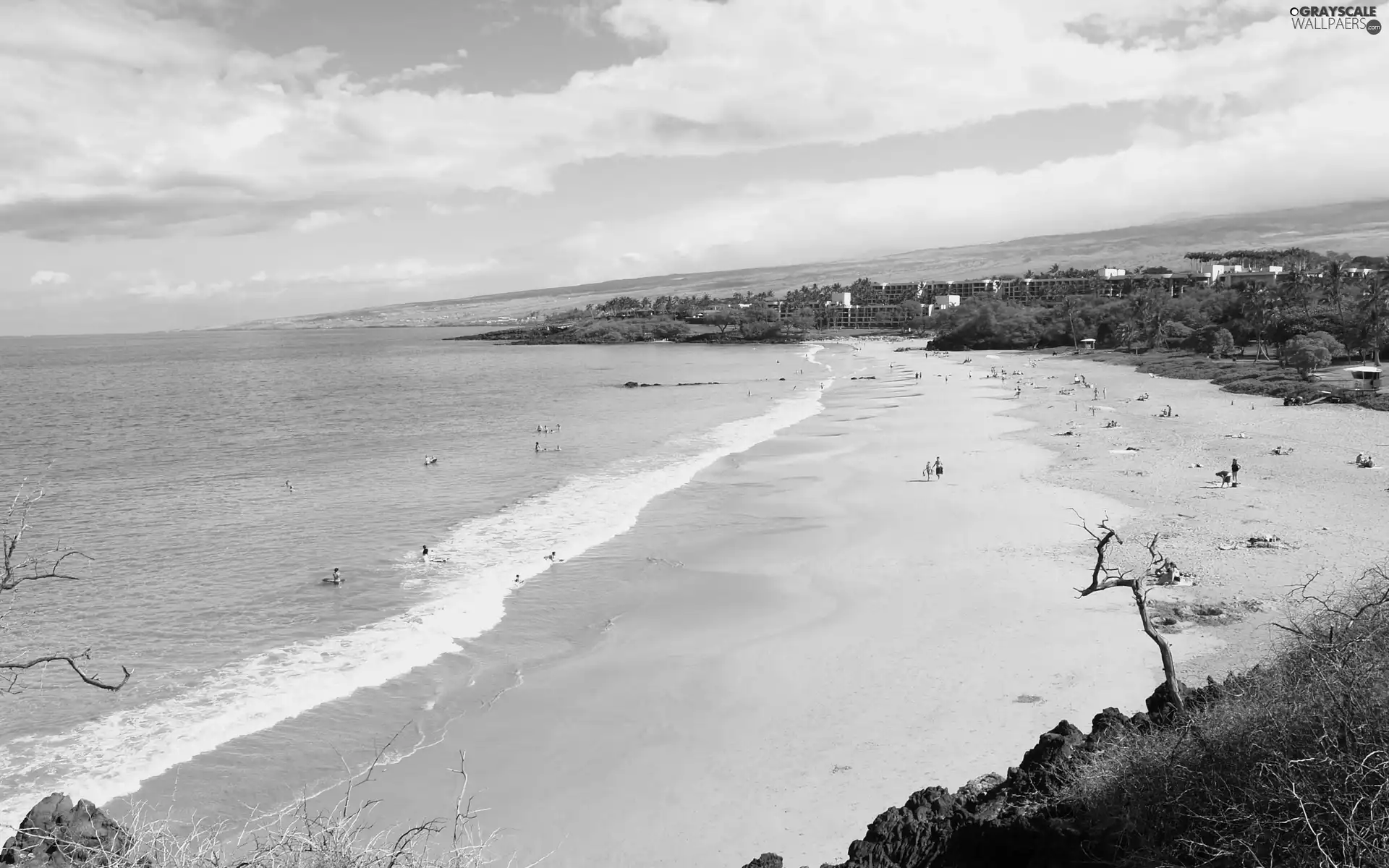 Beaches, landscape, sea