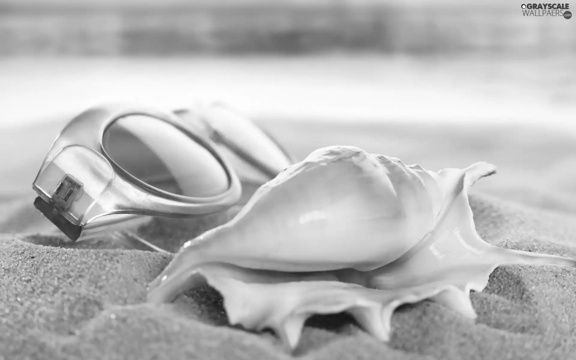 sunny, shell, Beaches, Glasses