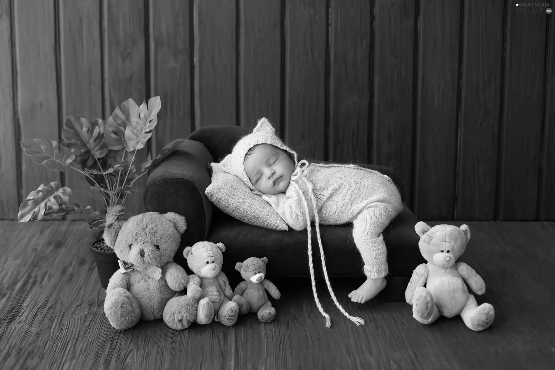 toys, bear, babe, sofa, Sleeping