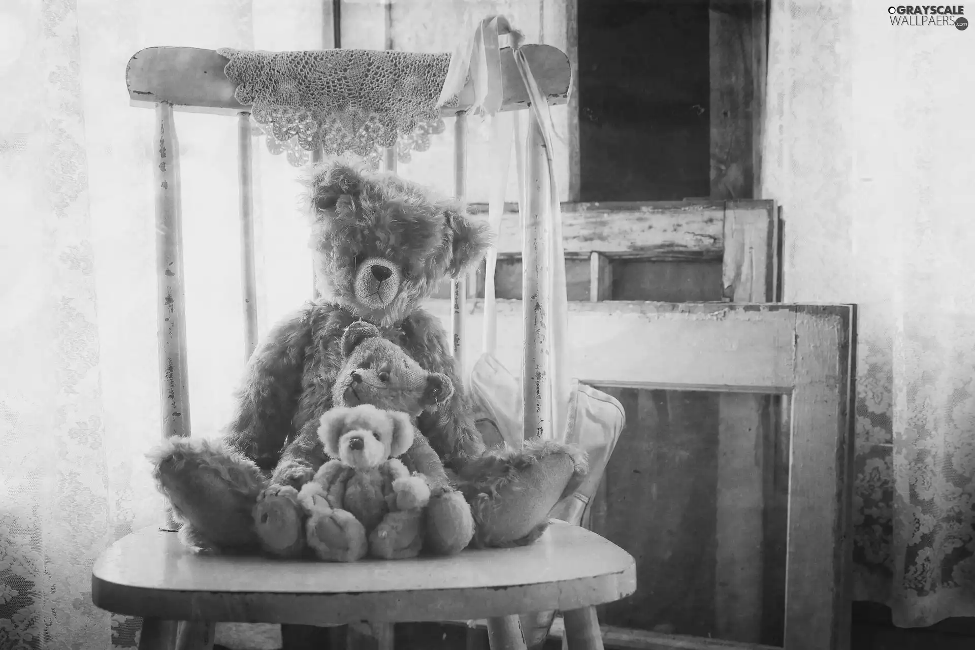 mascot, bear