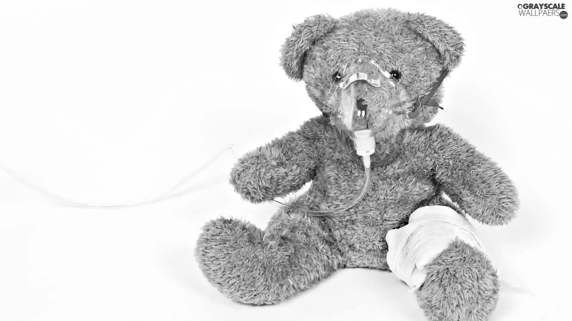ill, Teddy Bear