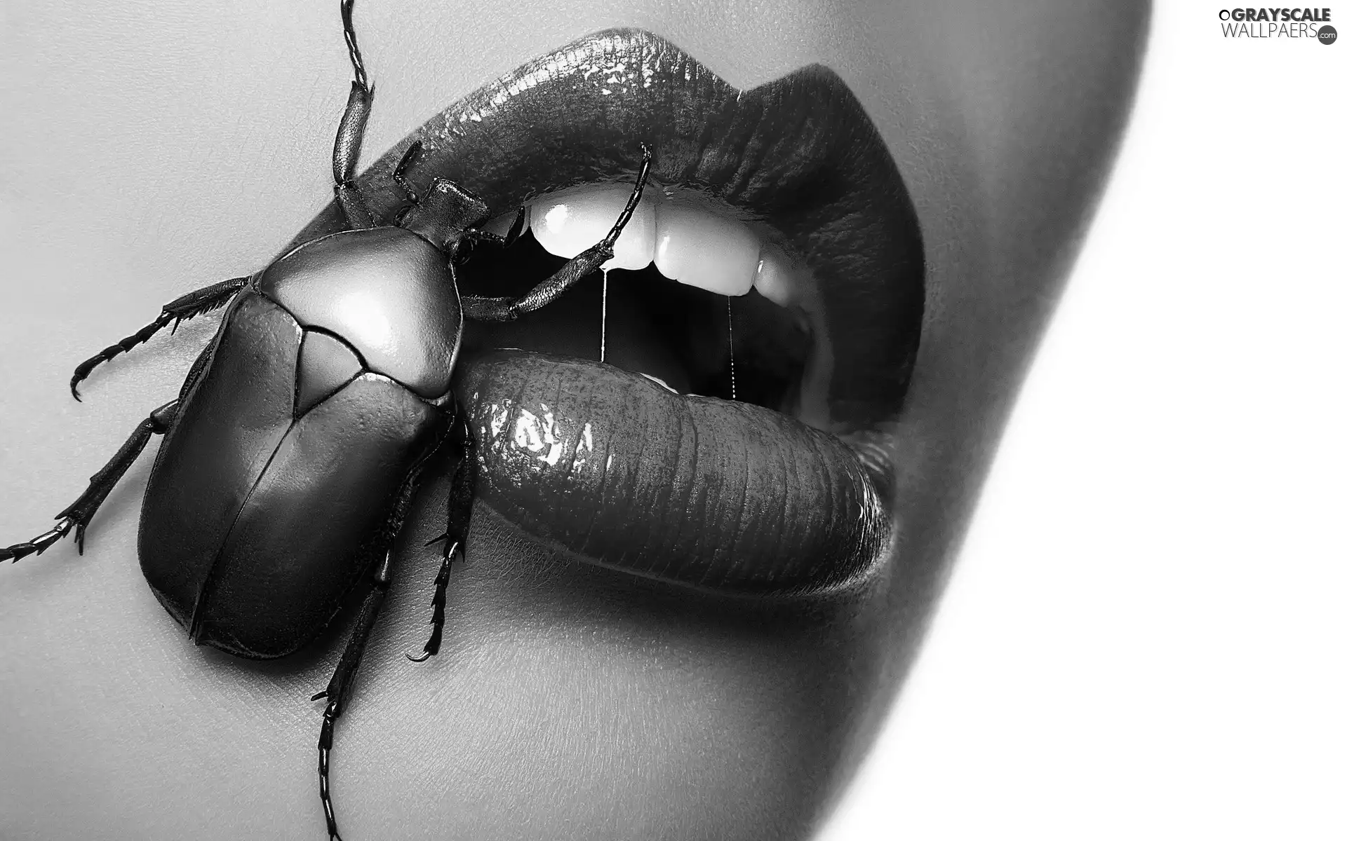 face, lips, beetle, Womens