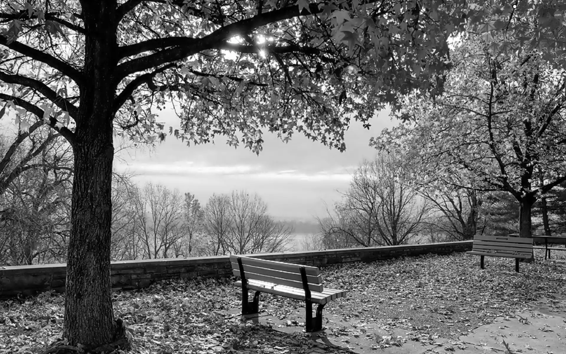 autumn, River, bench, Park