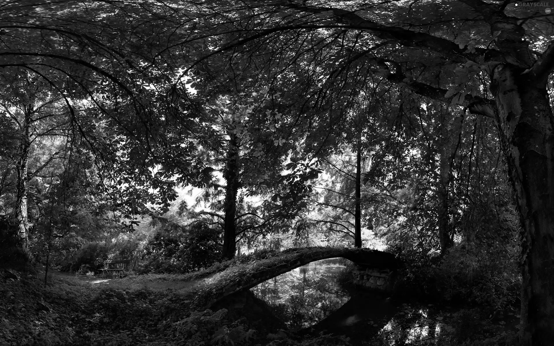 Bench, Park, bridges