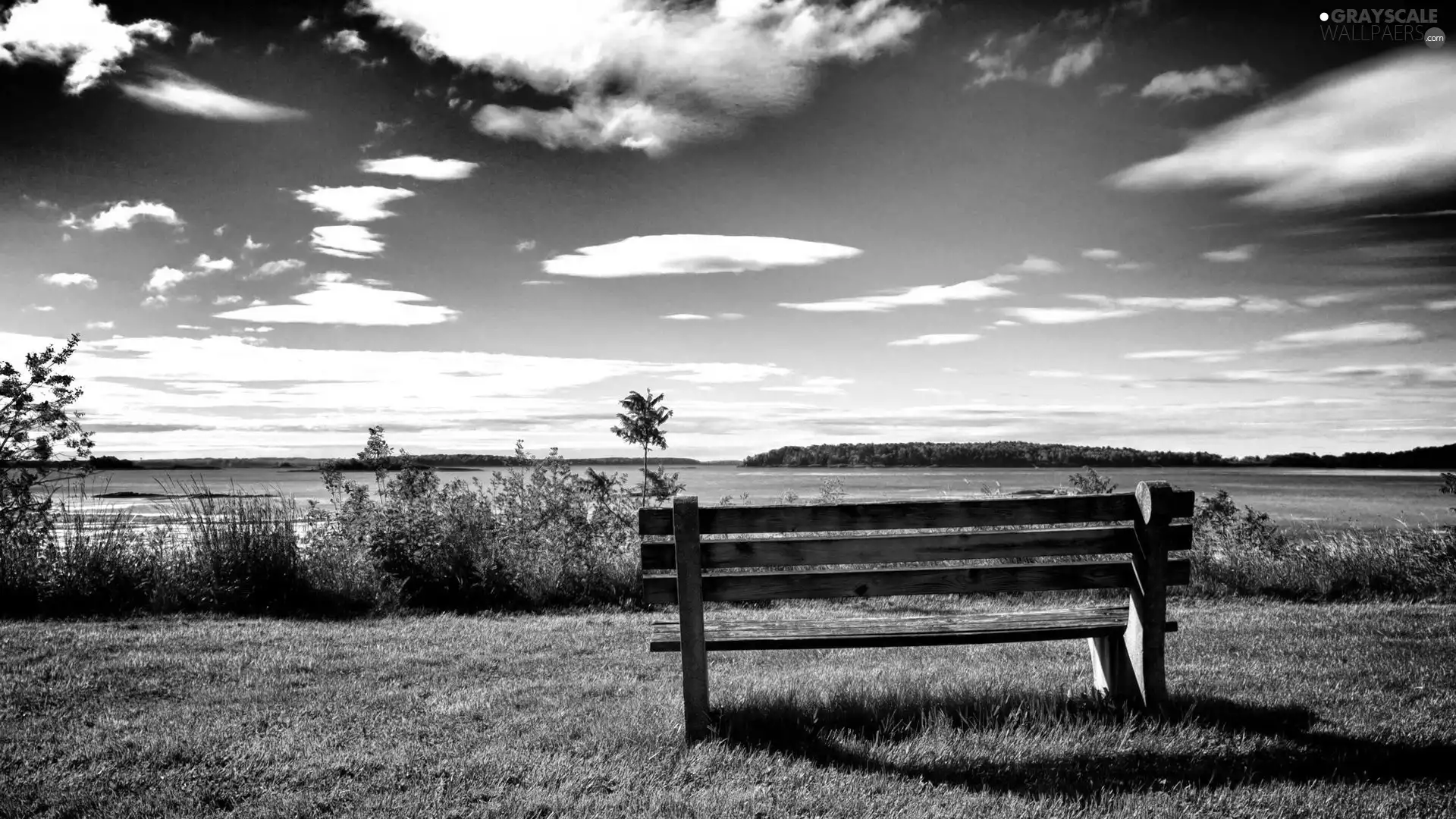 Bench, clouds, woods, Meadow, lake