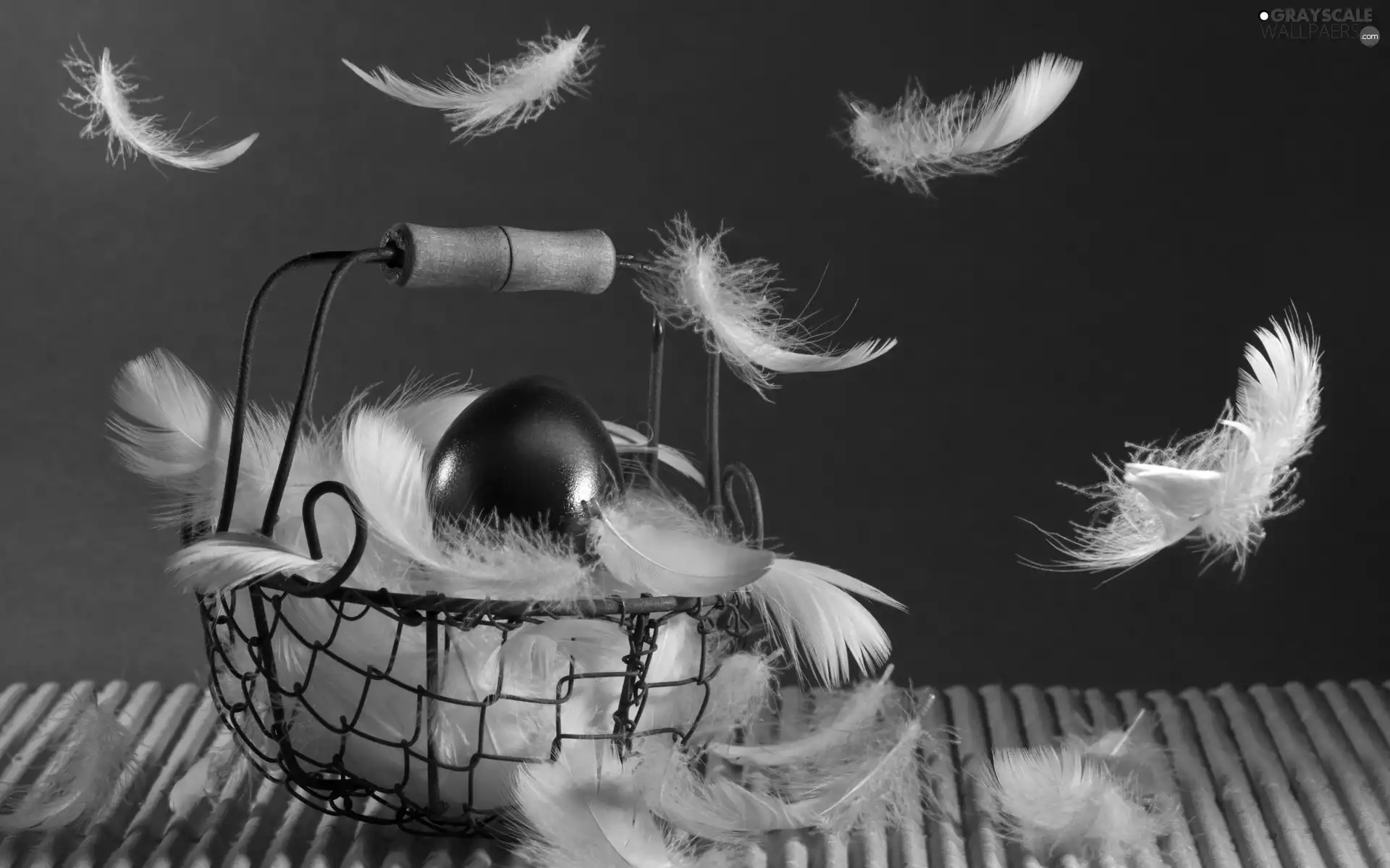 Bench, composition, pen, basket, egg