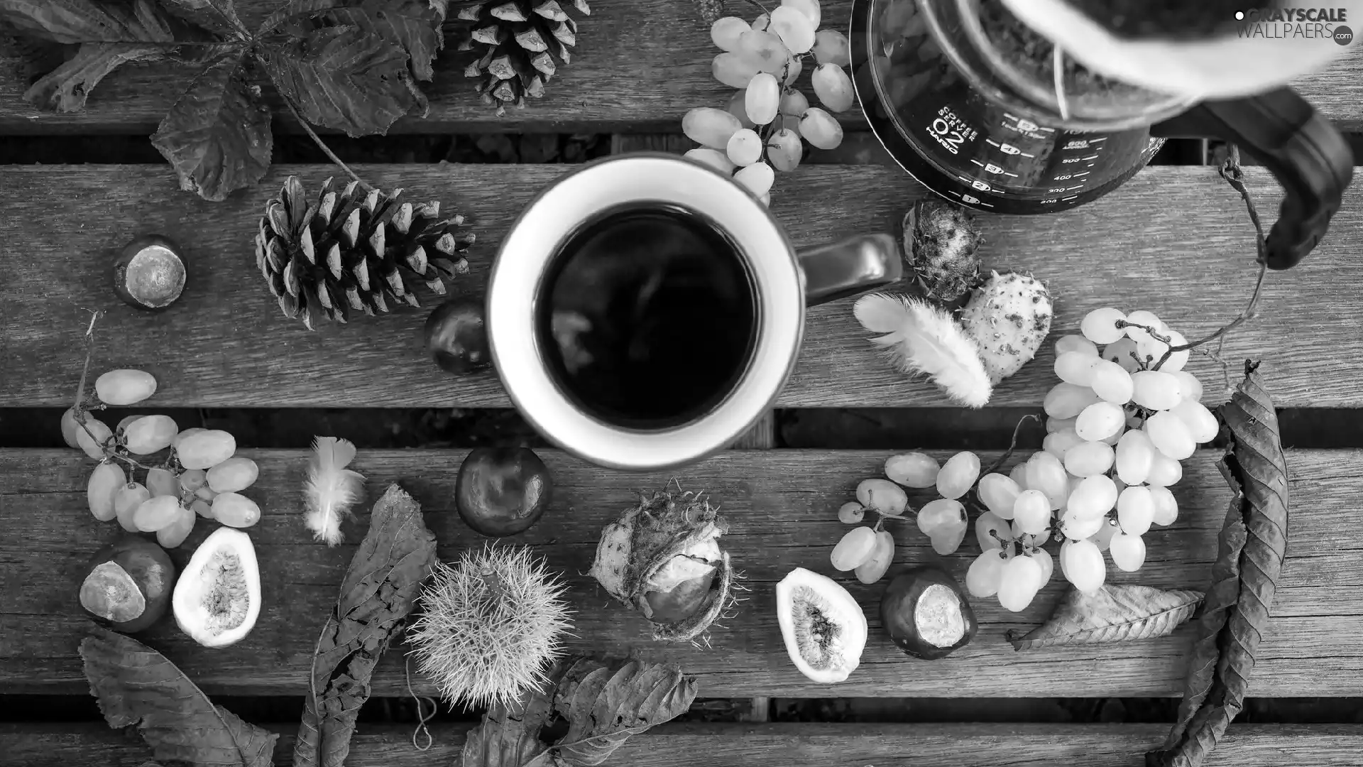 cones, Grapes, composition, Leaf, autumn, chestnuts, coffee, Bench