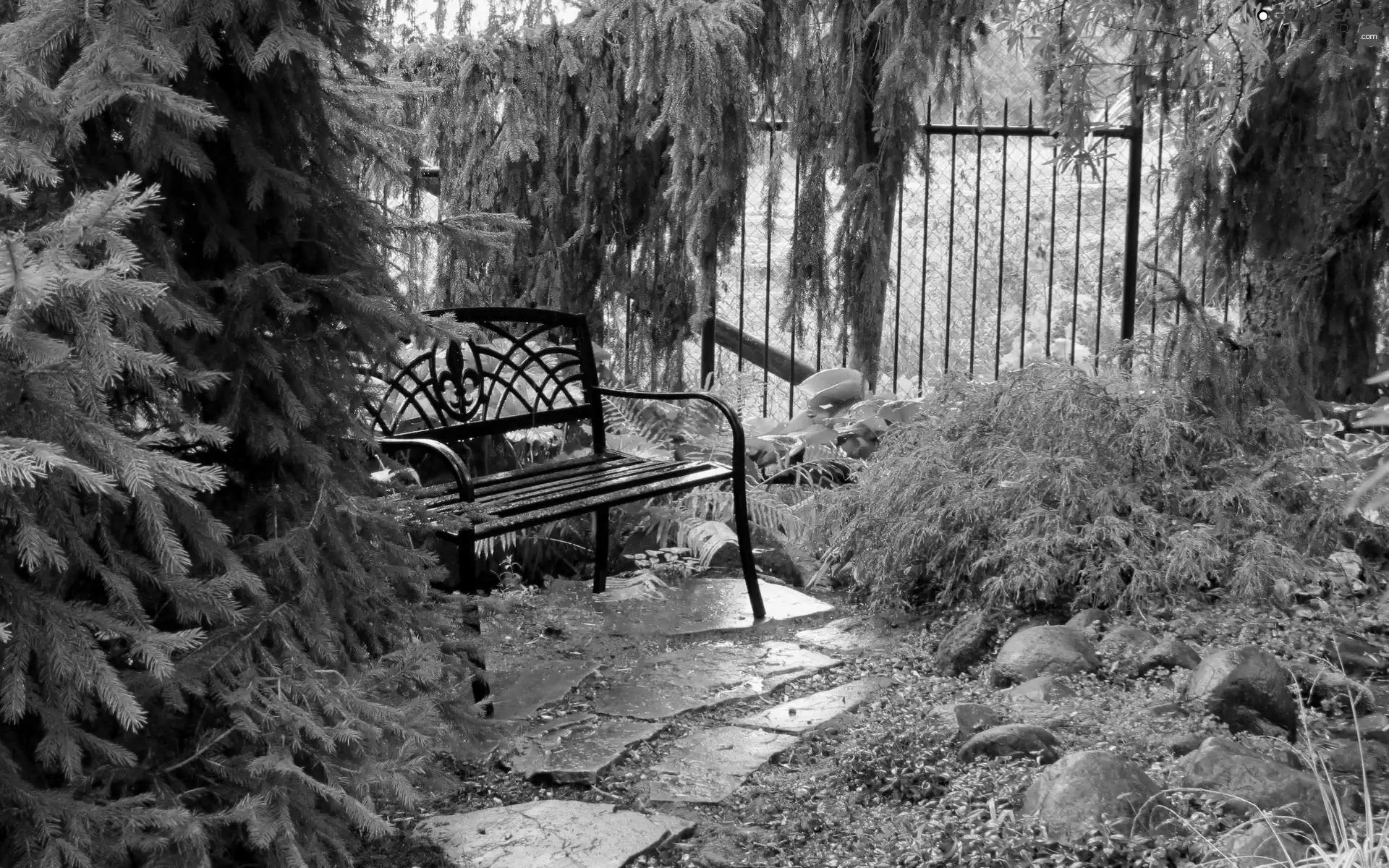 Bench, Fance, Spruces, Stones, garden