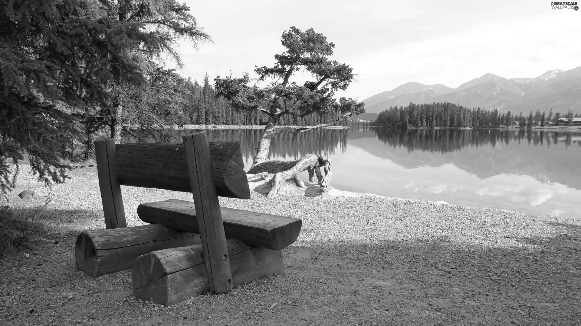 Bench, lake, forest