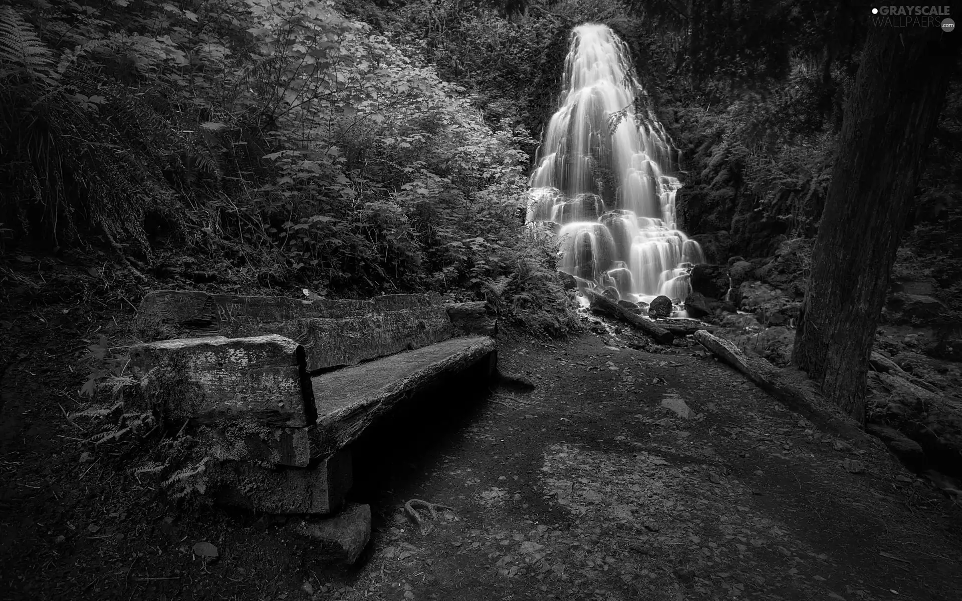 forest, Path, Bench, waterfall