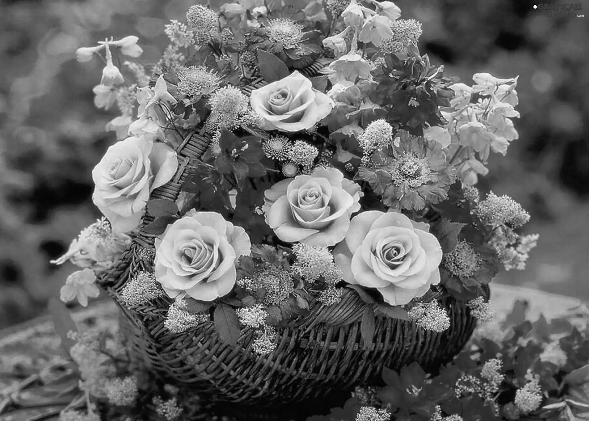 Bench, Garden, flowers, basket, bouquet